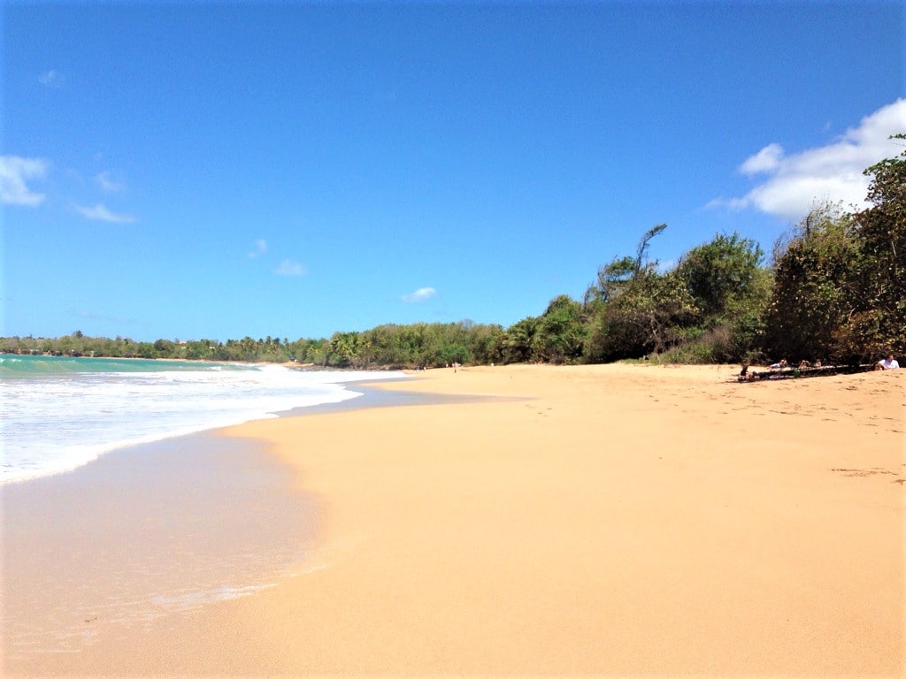 les plages paradisiaques de la basse terre