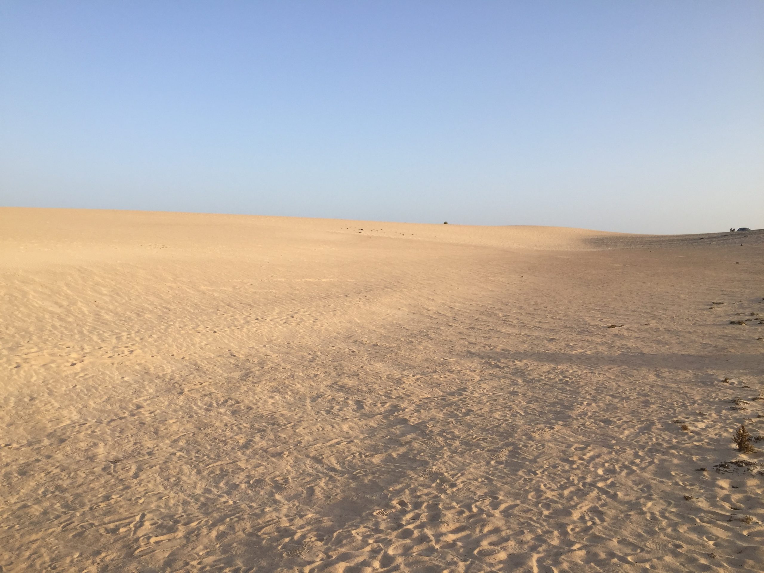 parc national de corralejo