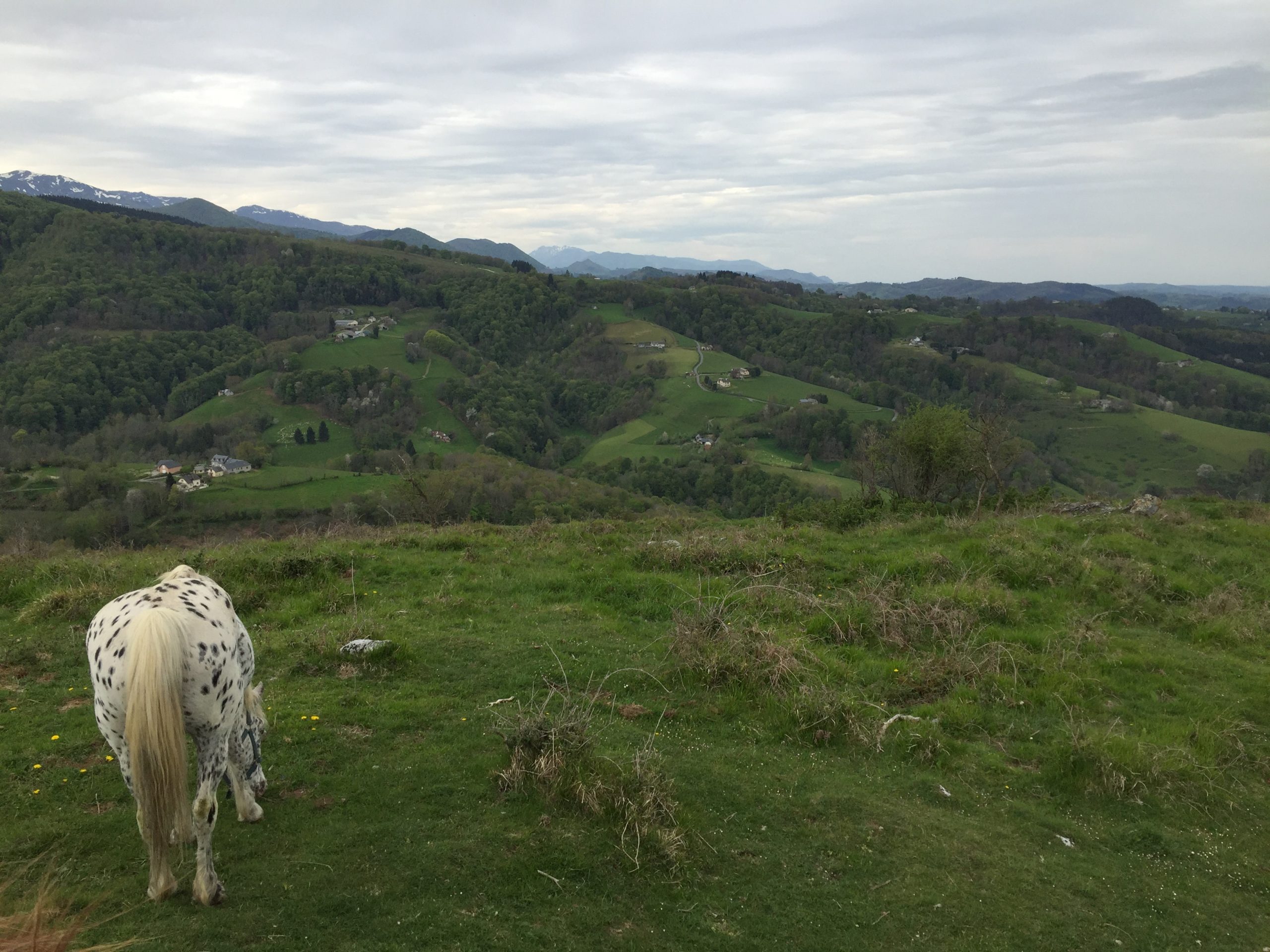 sur les hauteurs de Lies