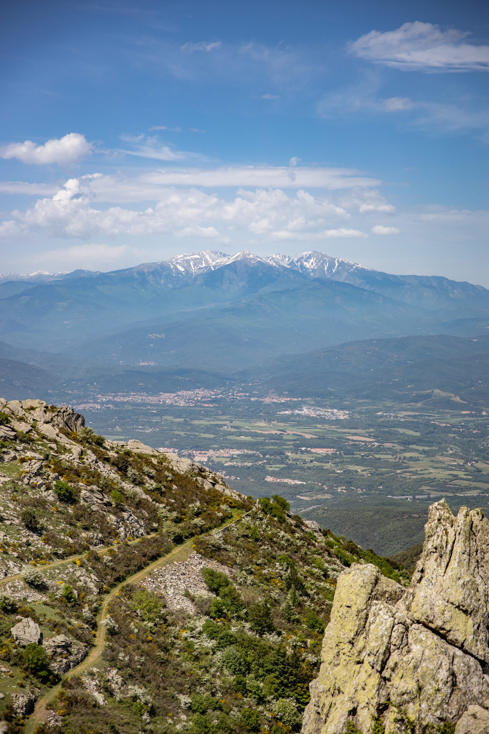 le mont canigo depuis le puig sant cristau