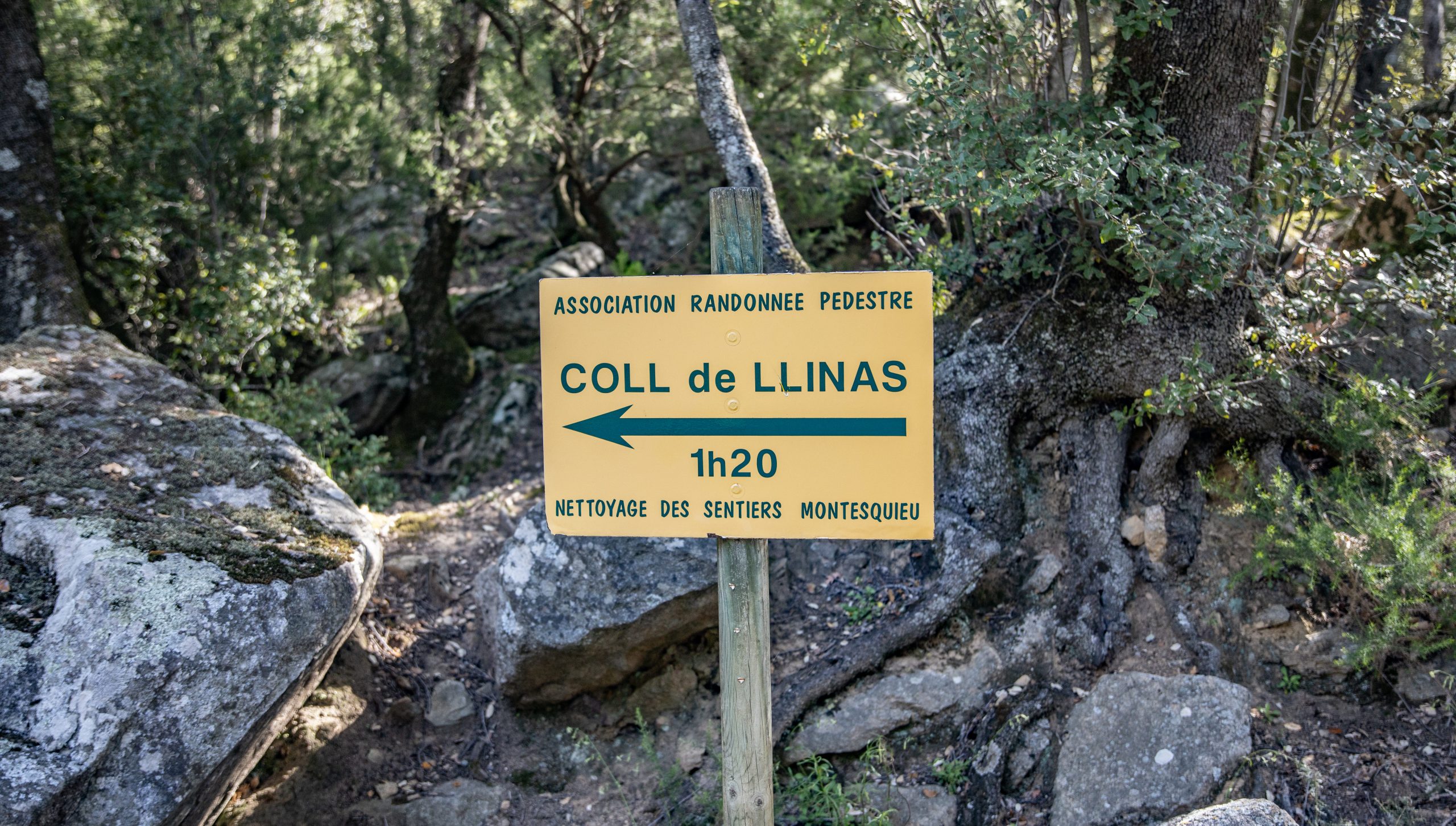 puig de sant cristau
