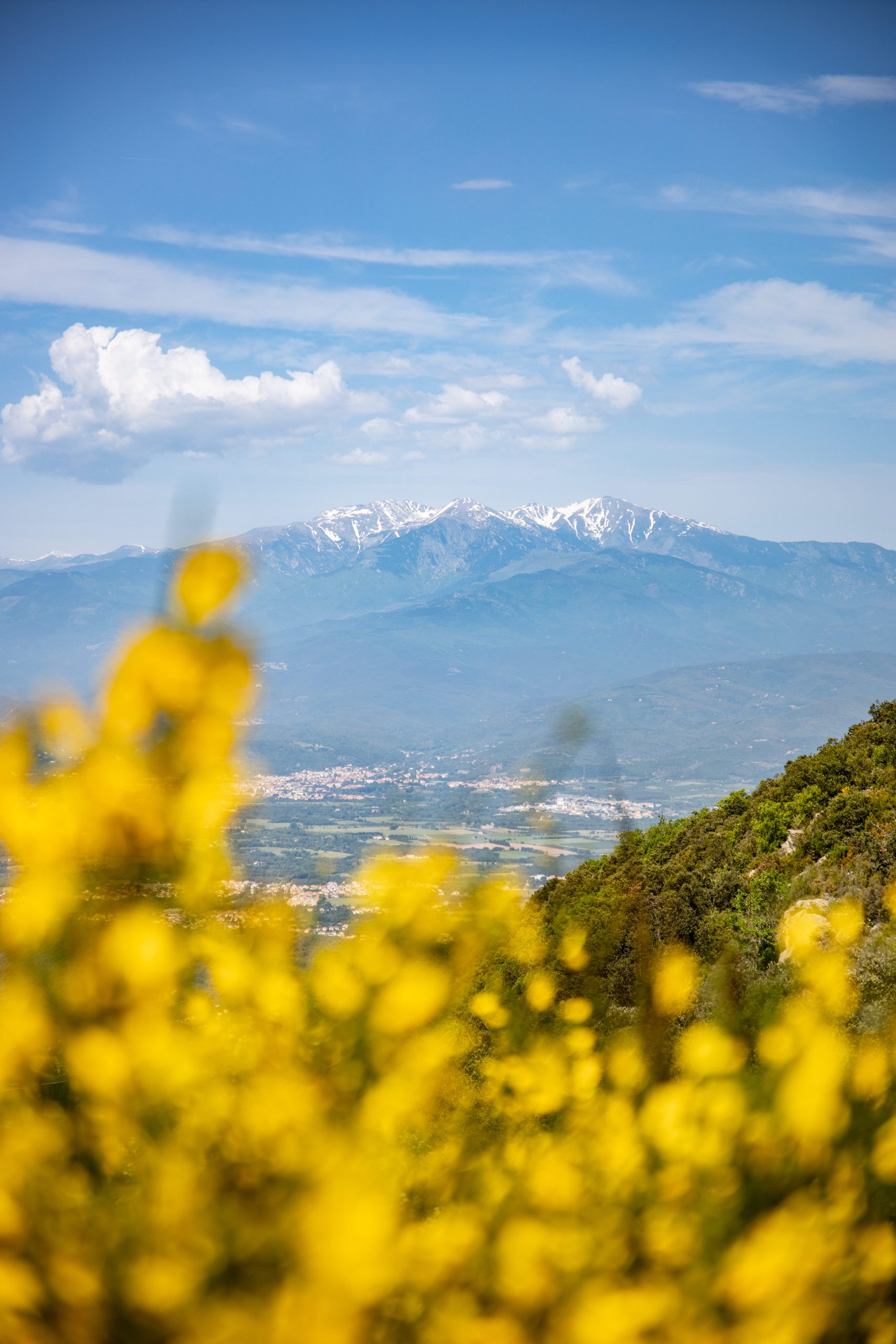 randonnée alberes pyrenees orientales