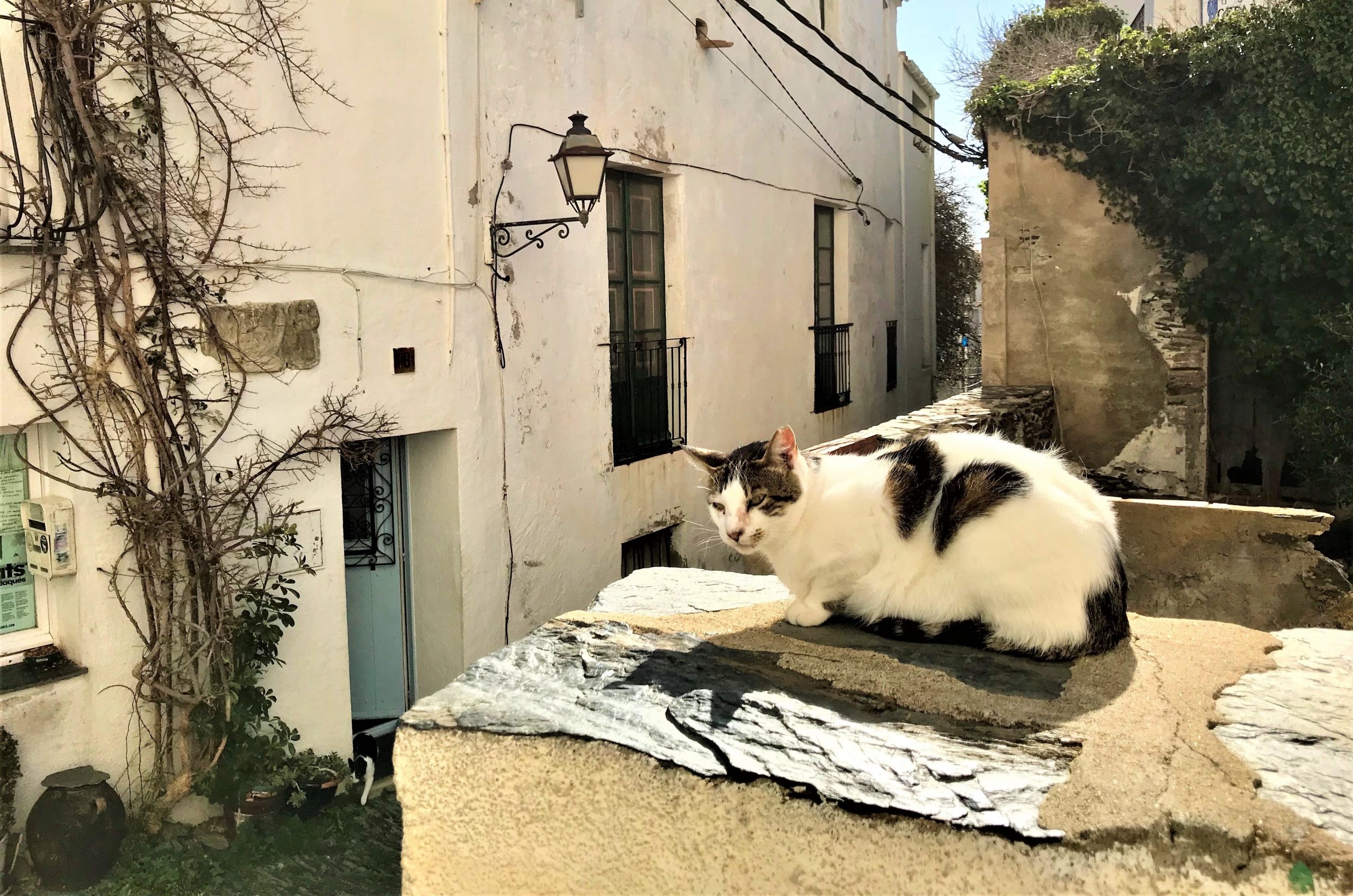 Cadaquès, c'est "Chat"leureux...
