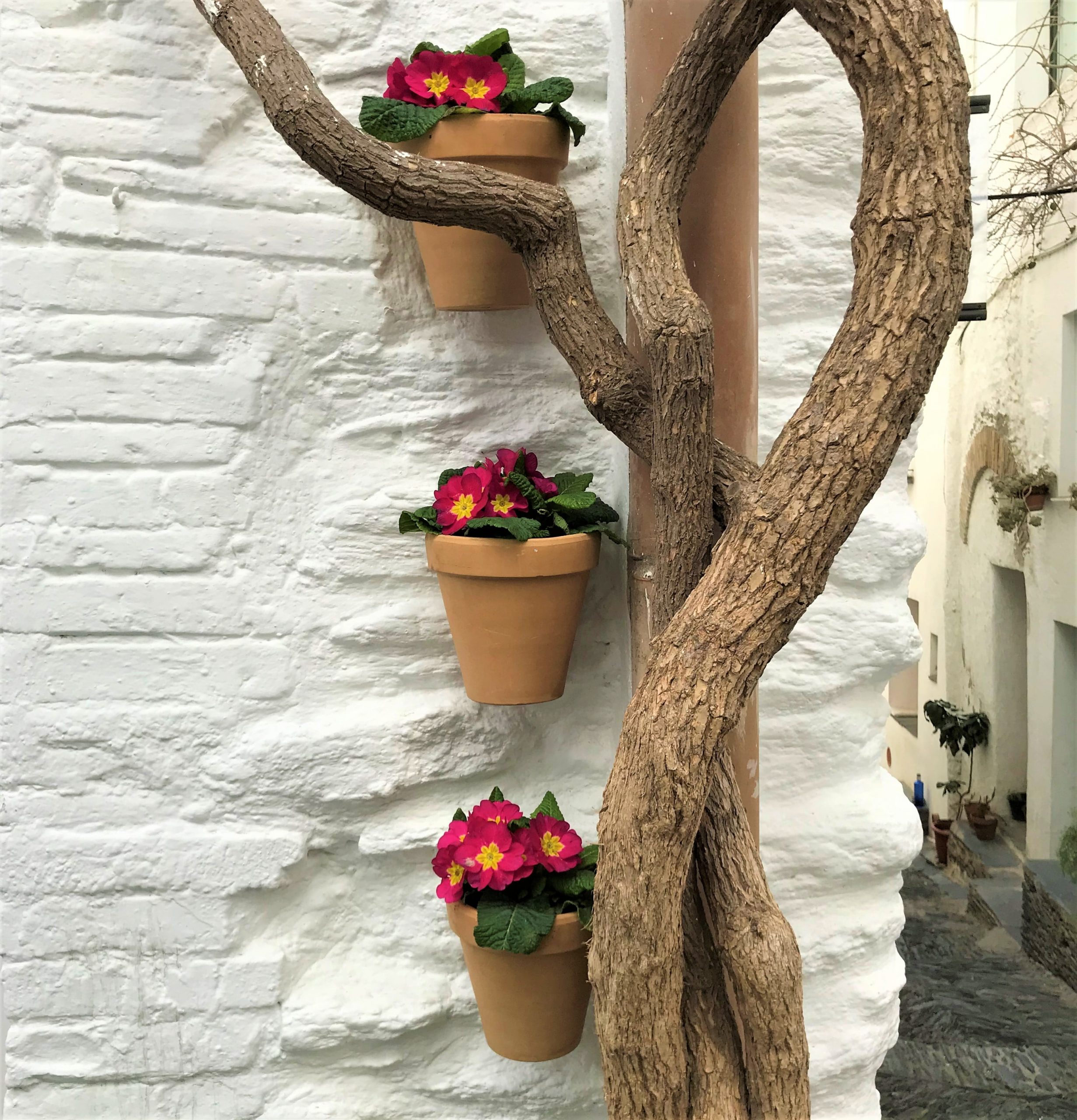 détails photogéniques à cadaques