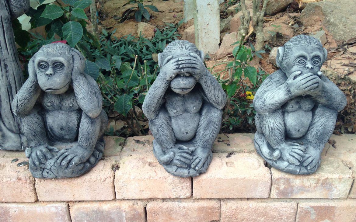 les singes à Phuket