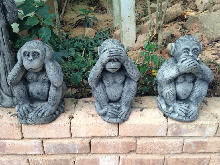 les singes à Phuket