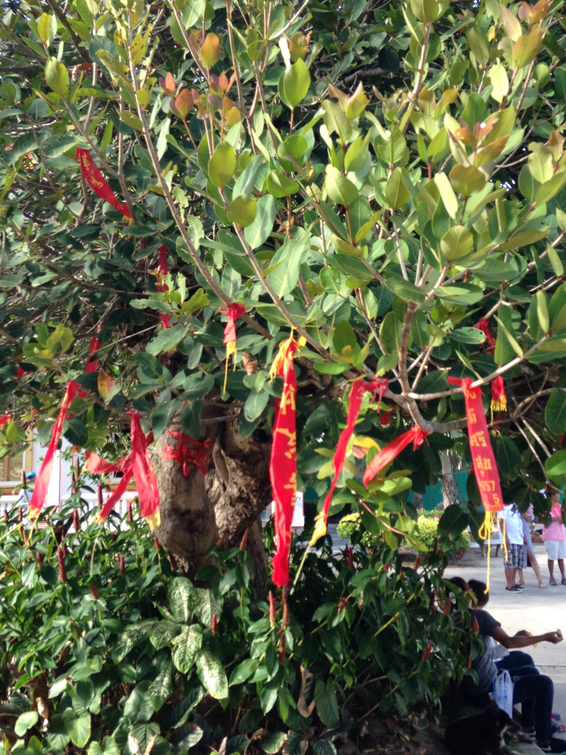 ruban temple wat chalong