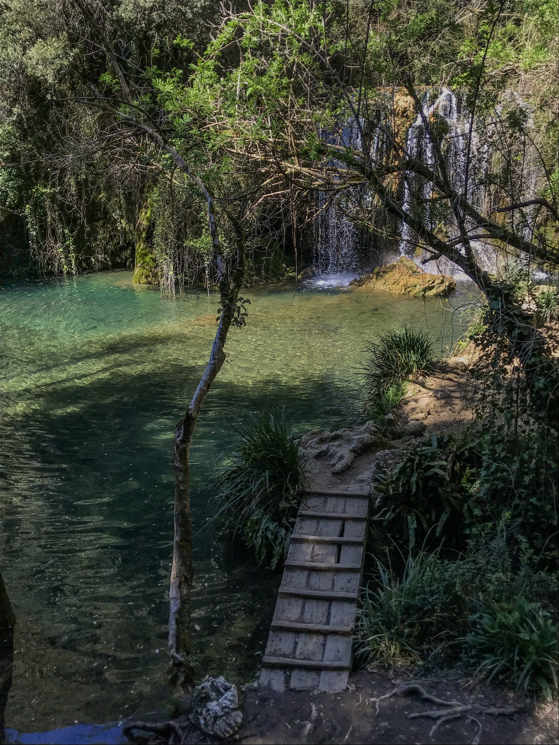 Gorg del moli