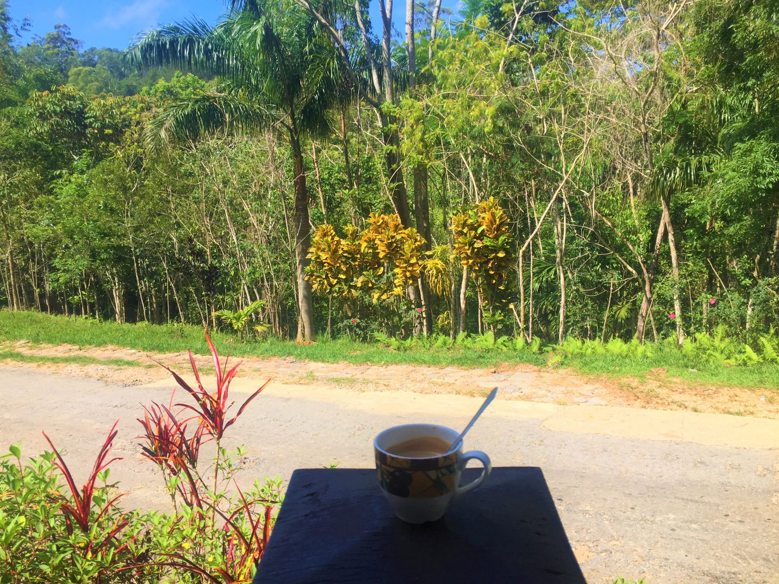 café à topes de collante