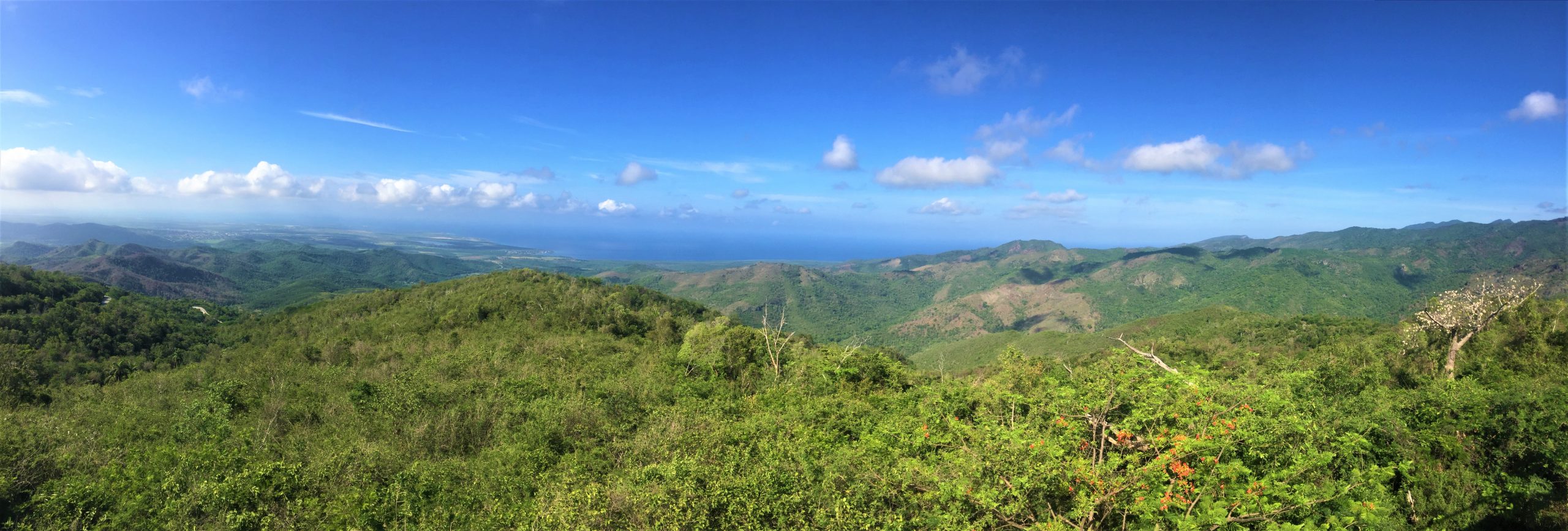 topes de collante trinidad