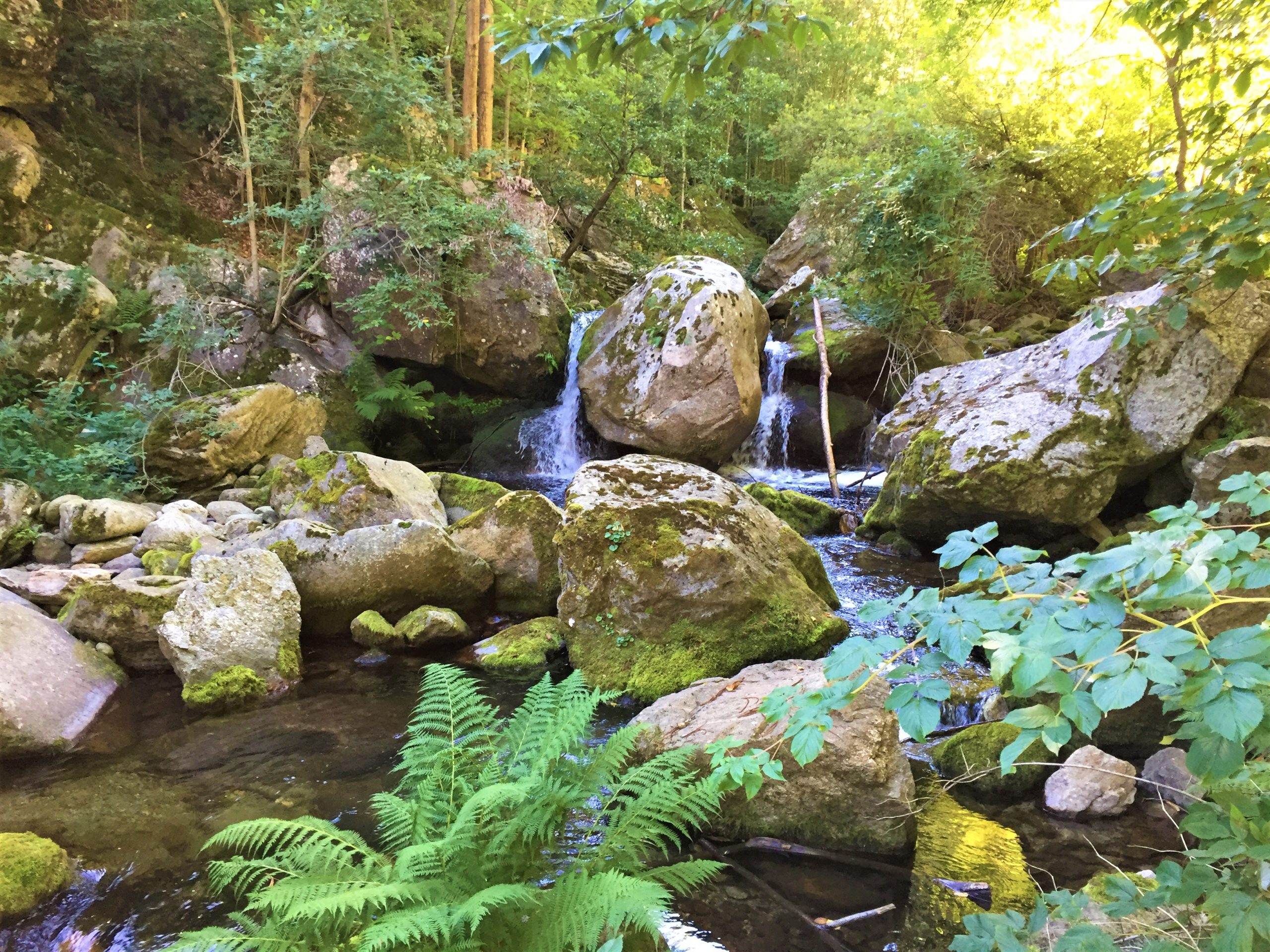 Décor aux gorges du cady