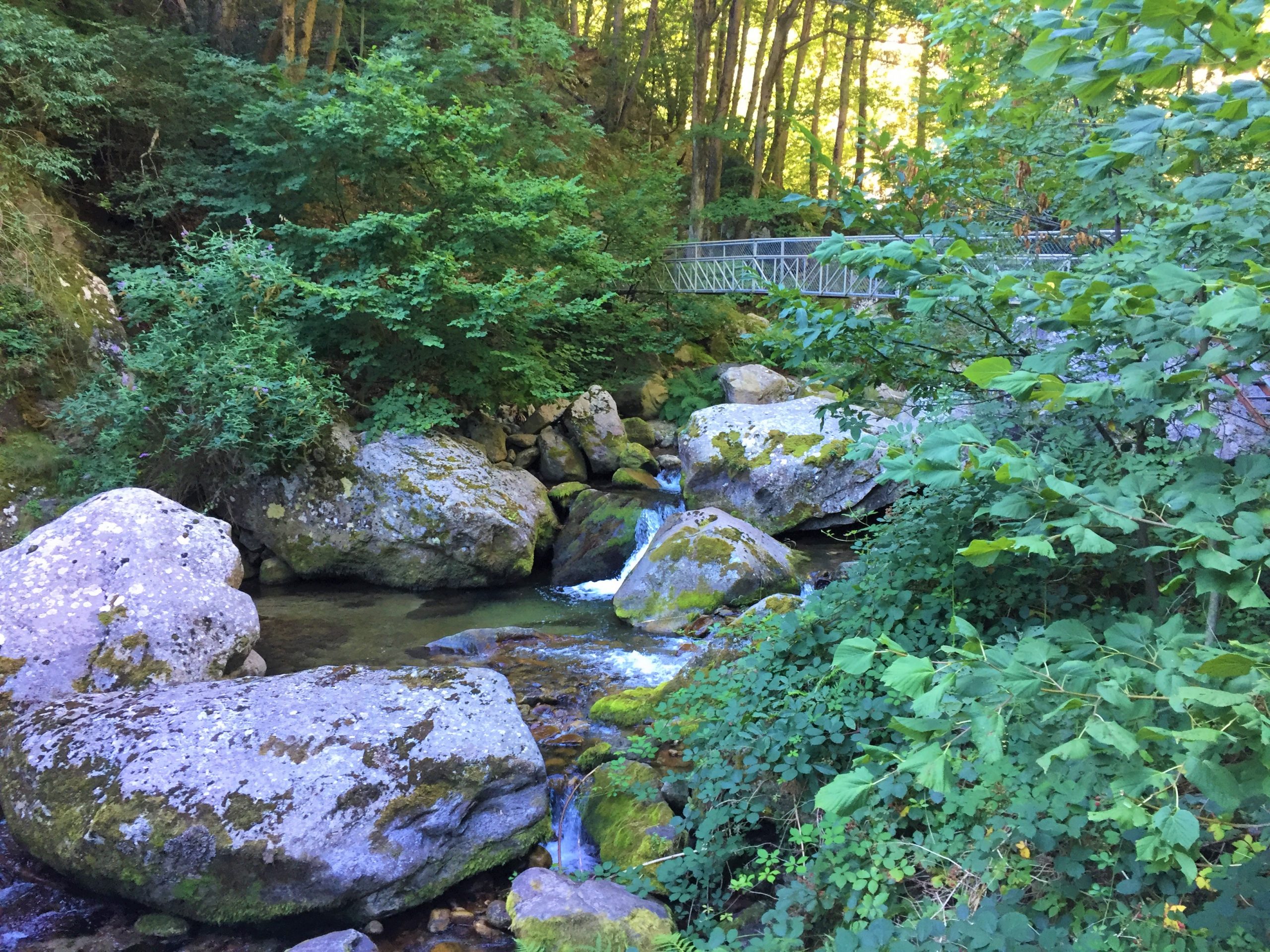 sentier des gorges du cady pyrénées orientales