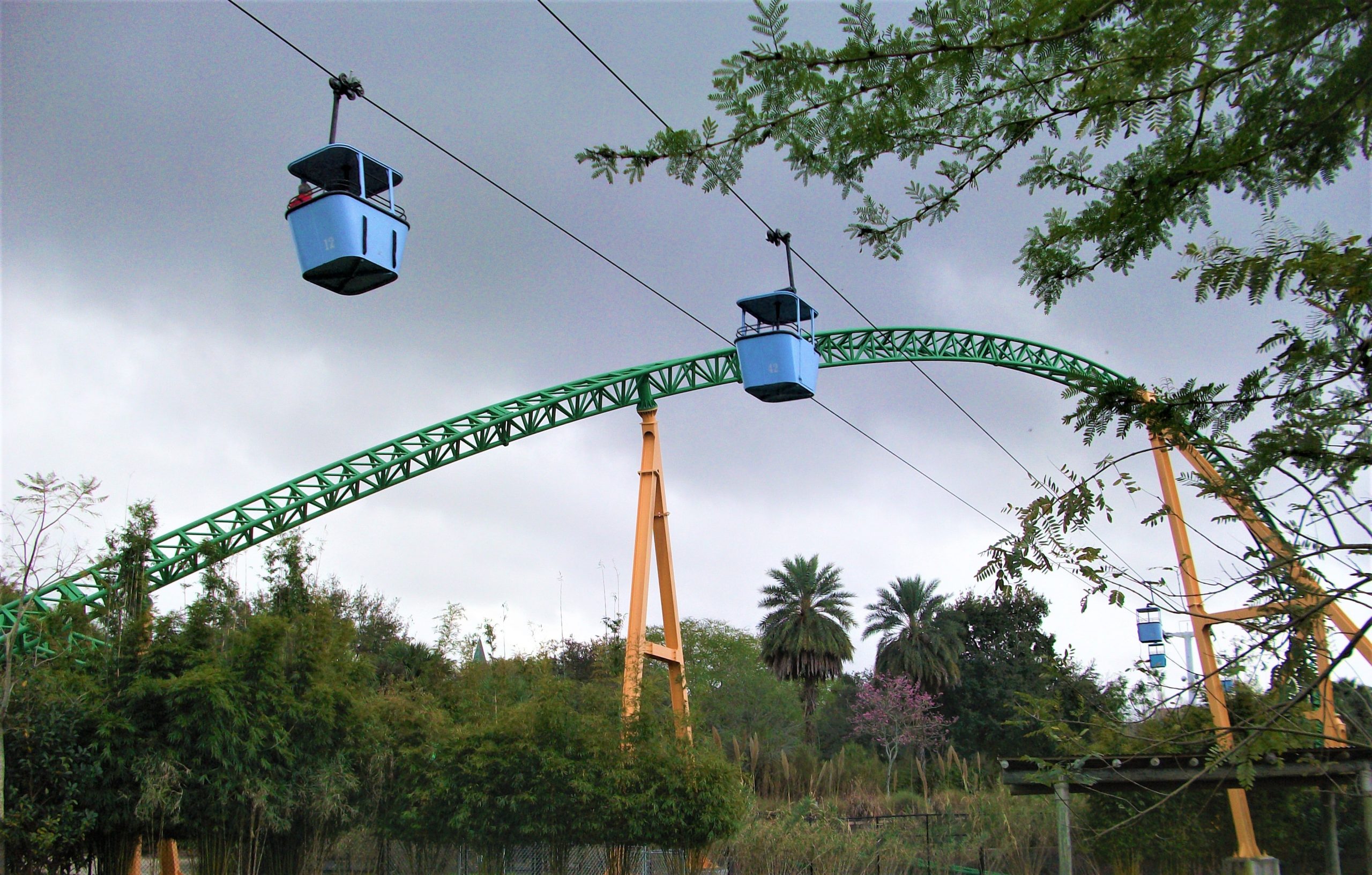 Les télésièges qui traversent le parc Busch Garden