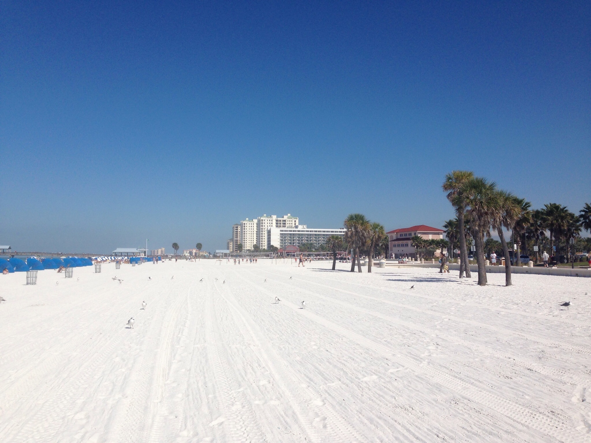 Plage de sable blanc à Clearwater