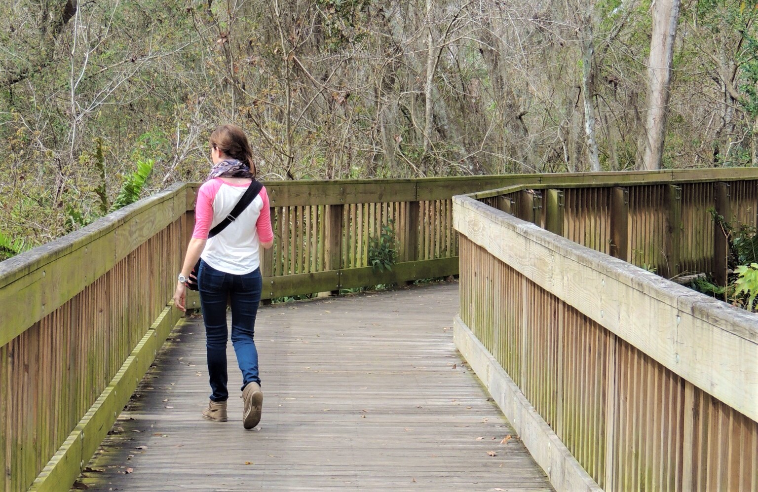 Le Lettuce Lake Regional Park.