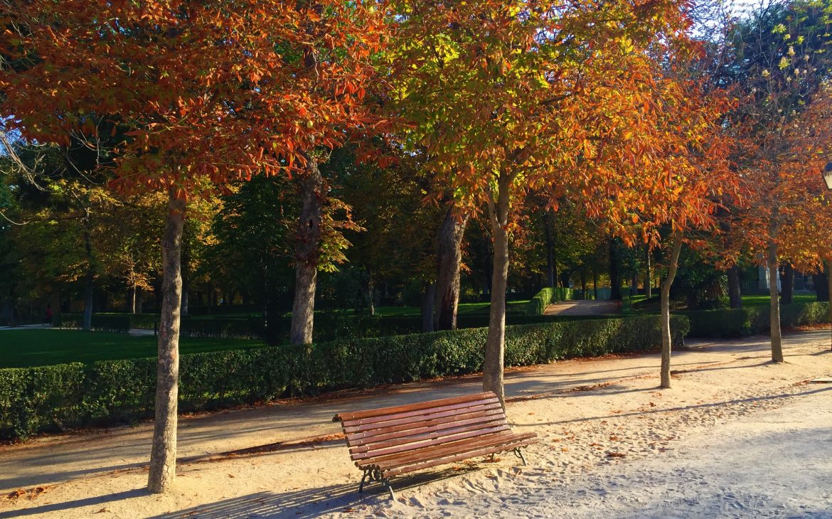 Madrid parc el retiro