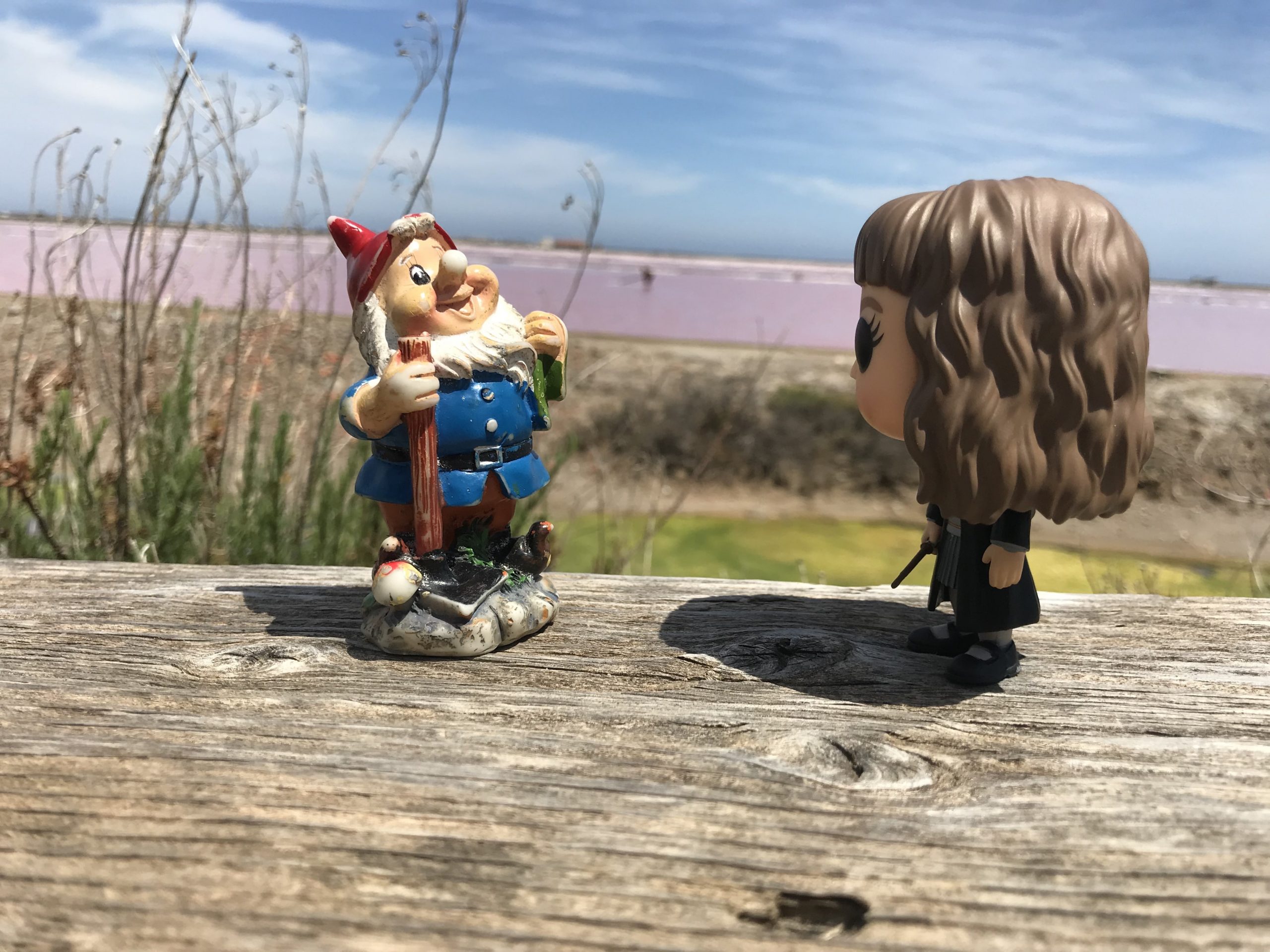 Quand la World Coolture rencontre Kiki ....