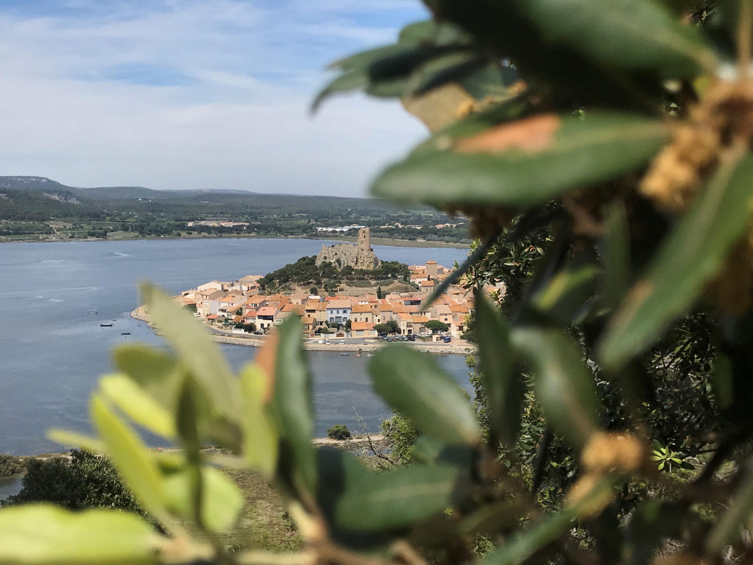 Les hauteurs de Gruissan