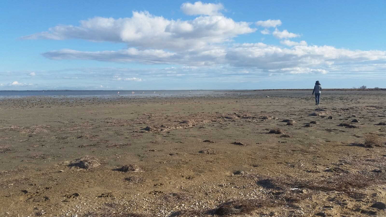 camargue étang impérial saintes maries de la mer