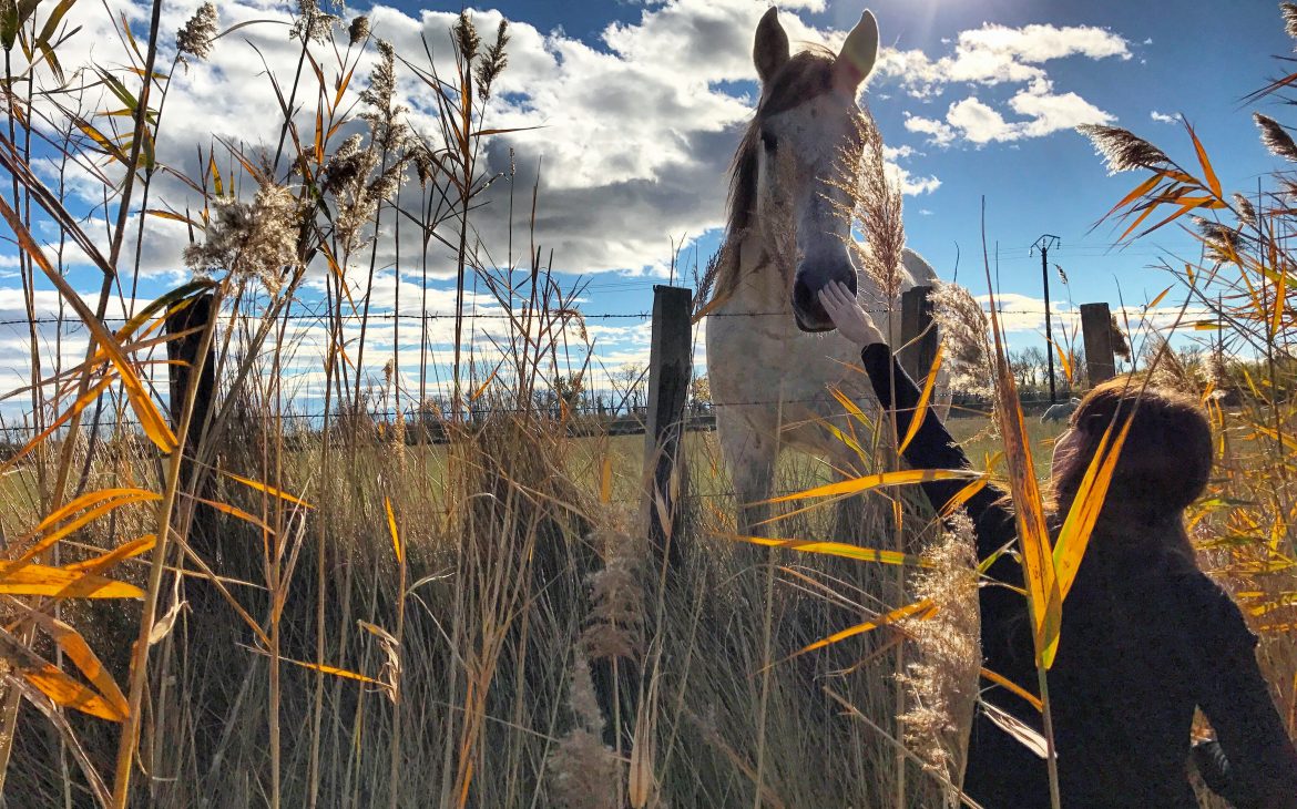 escapade en camargue blog kiki mag travel