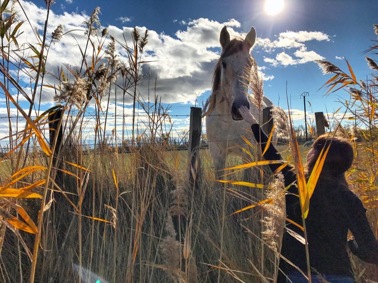 escapade en camargue blog kiki mag travel