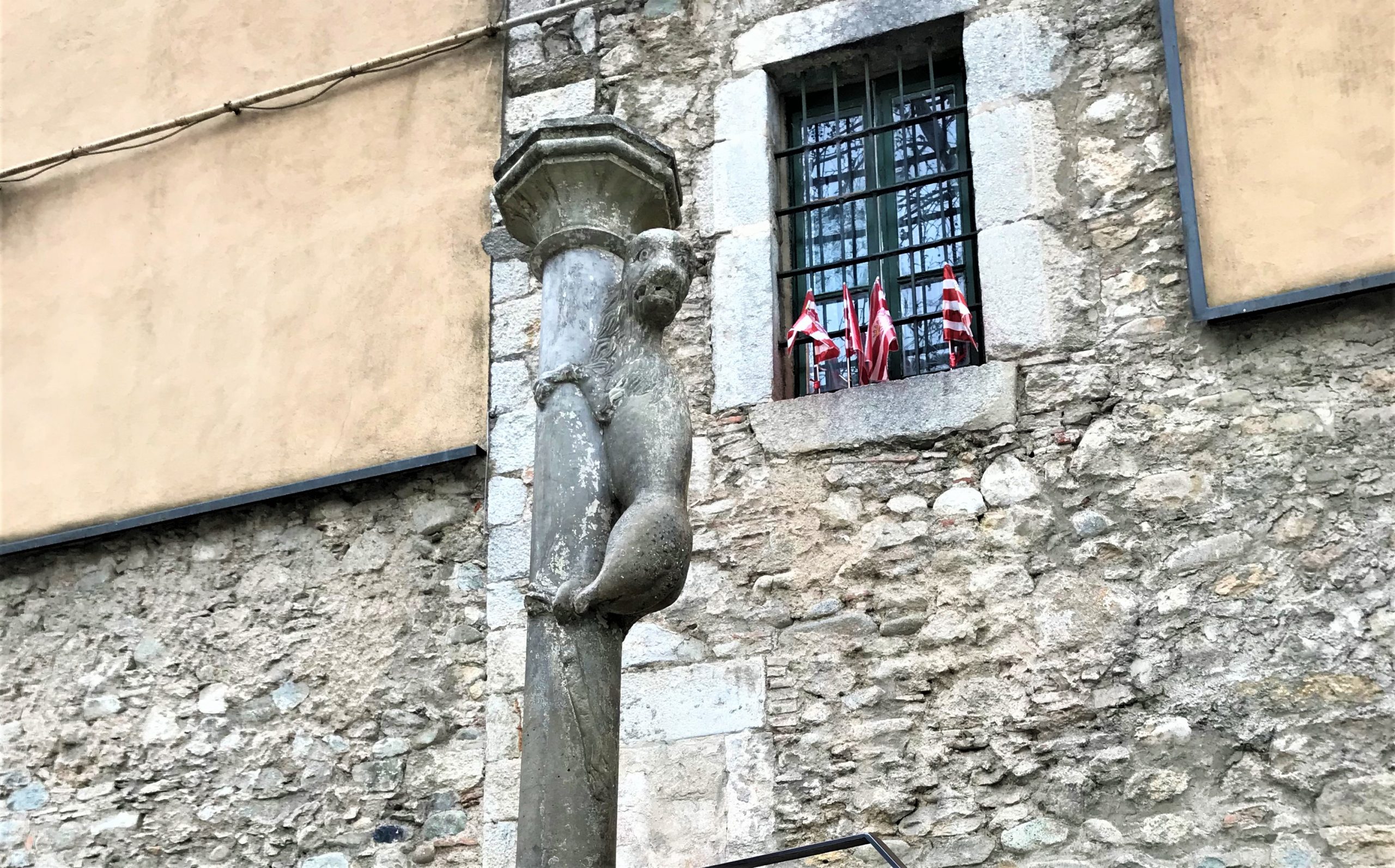 la lionne à Gérone