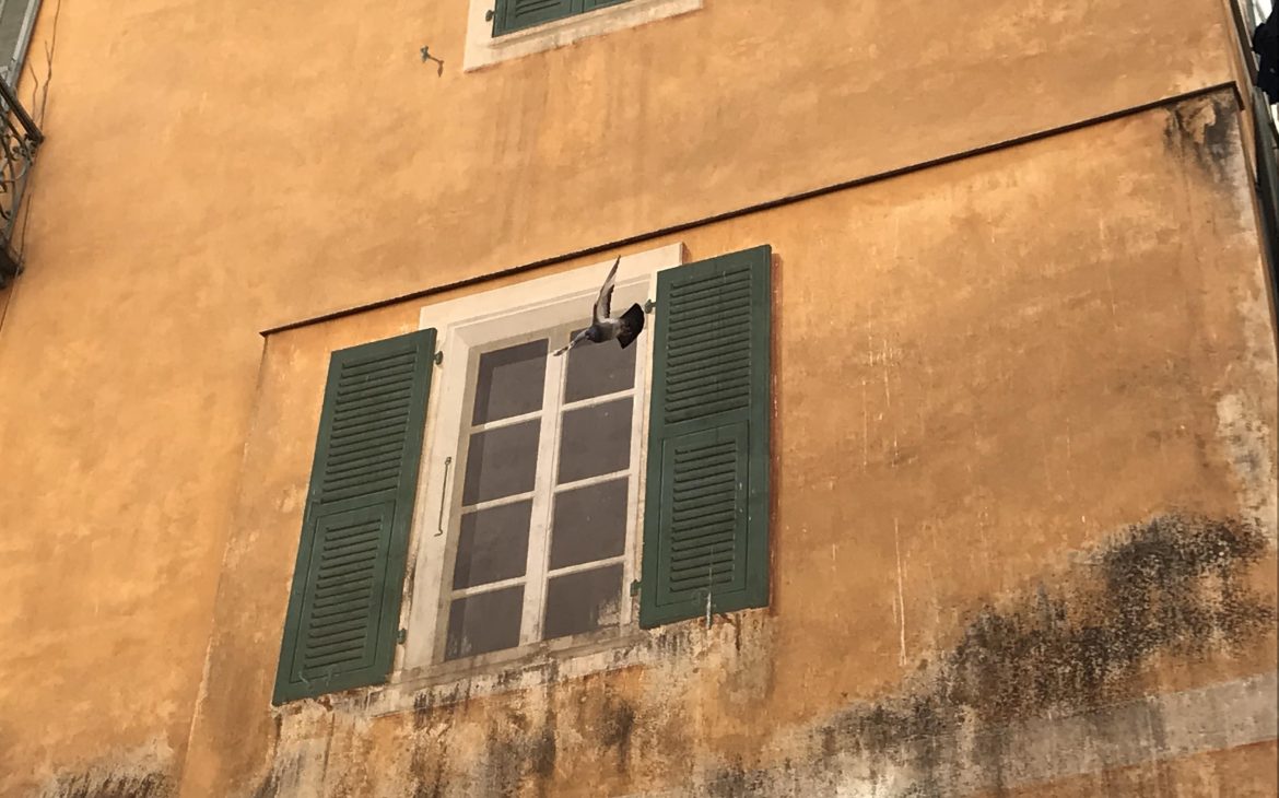 illusion d'optique