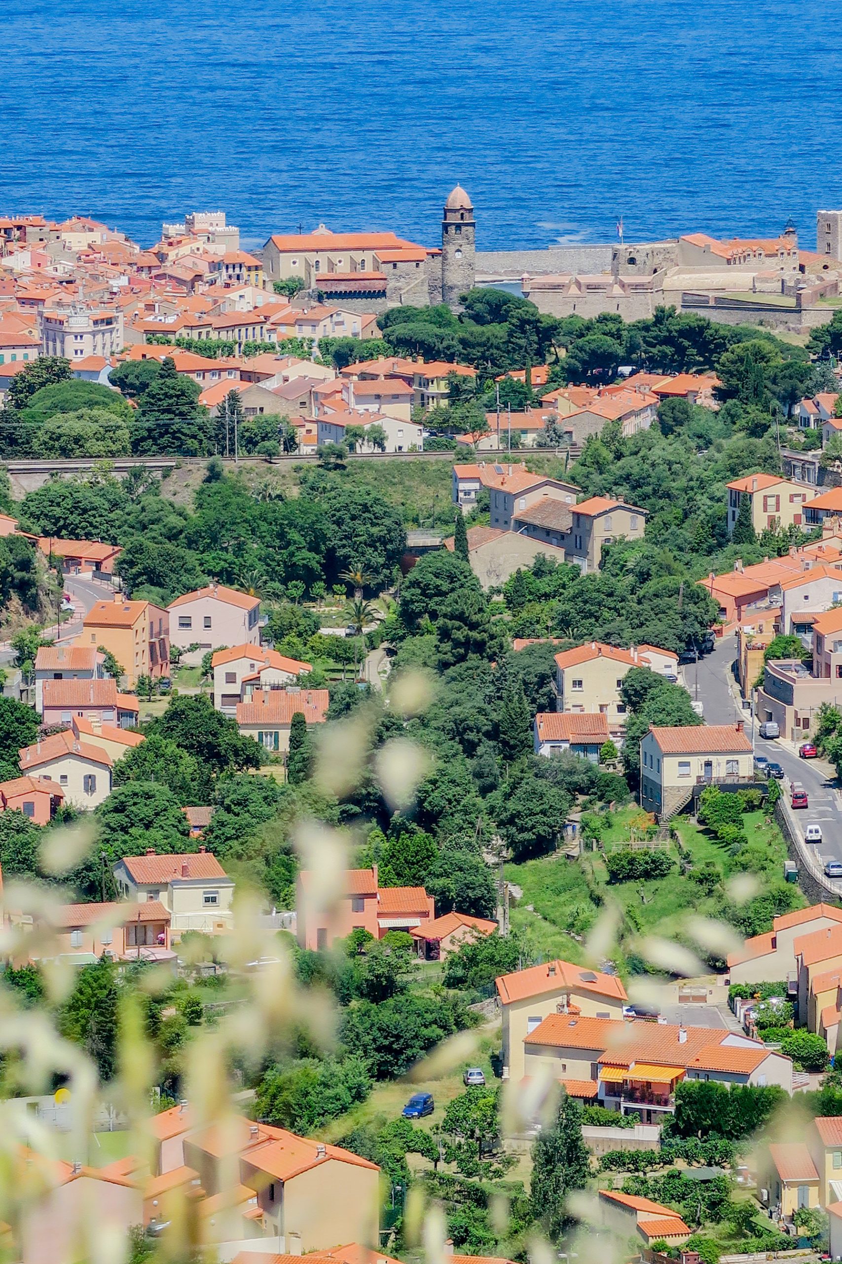 sur le sentier de la tour de madeloc collioure