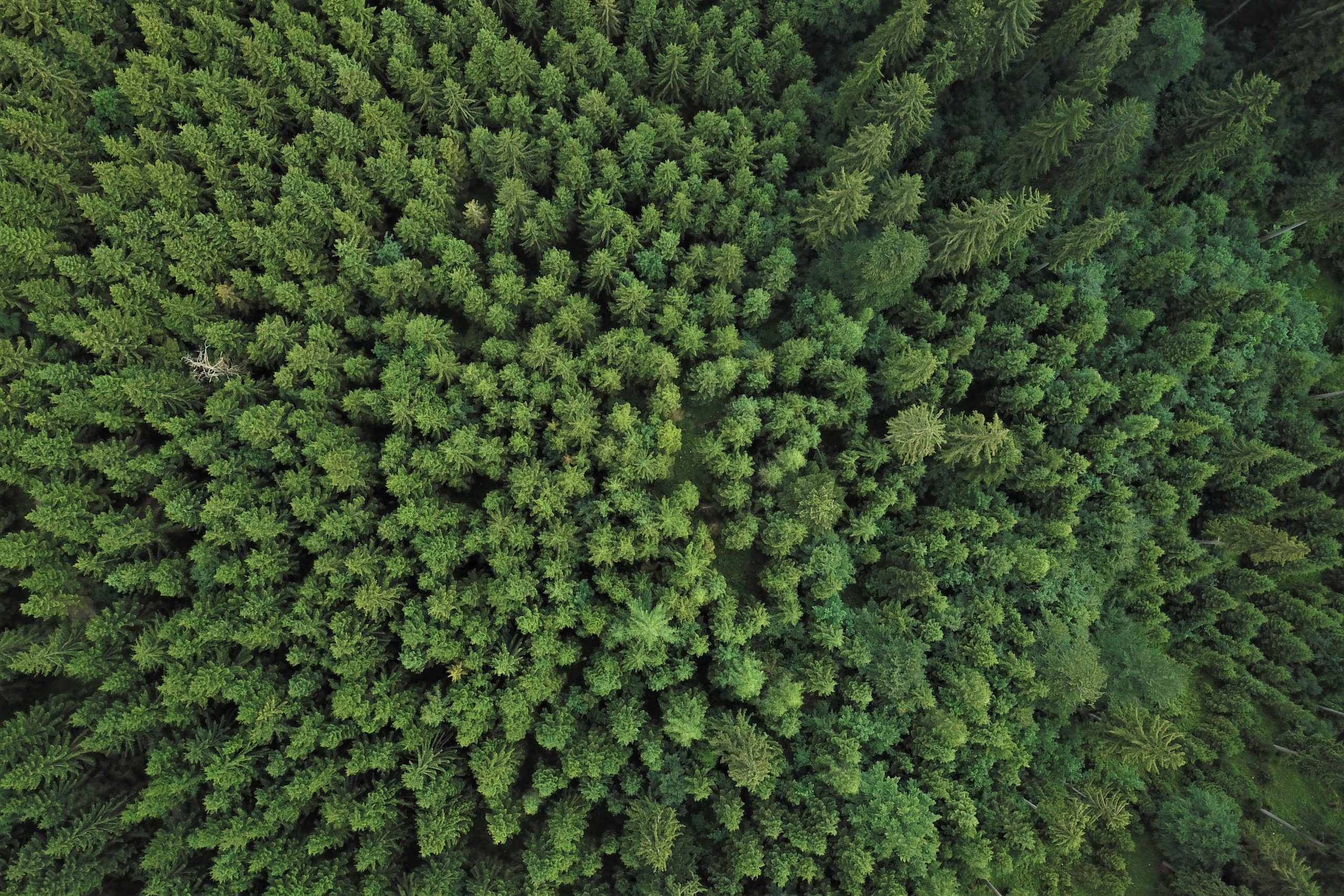 Randonnées en baviere drone