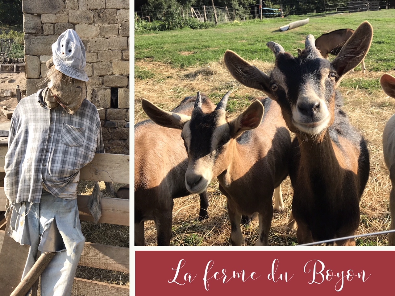 la ferme du boyon ardéche inslite