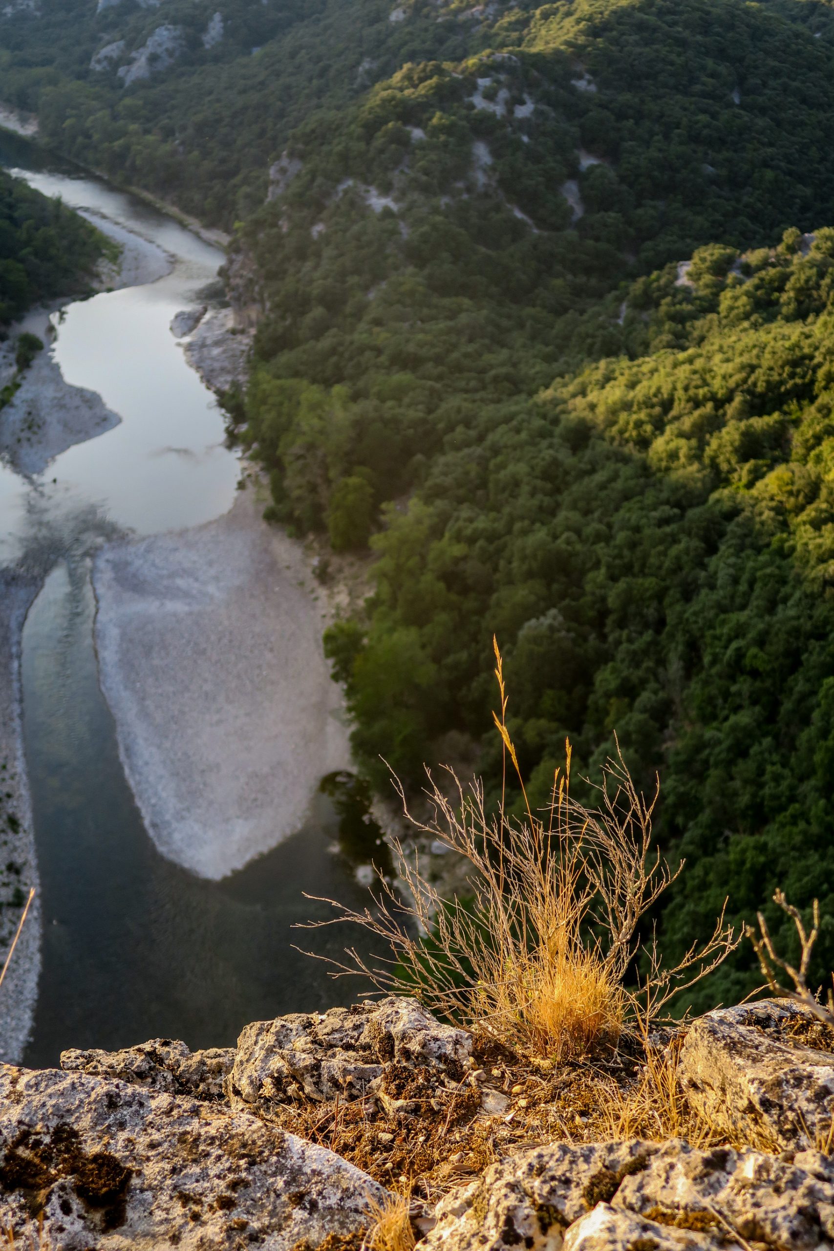 réserve naturelle des gorges de l'ardèche
