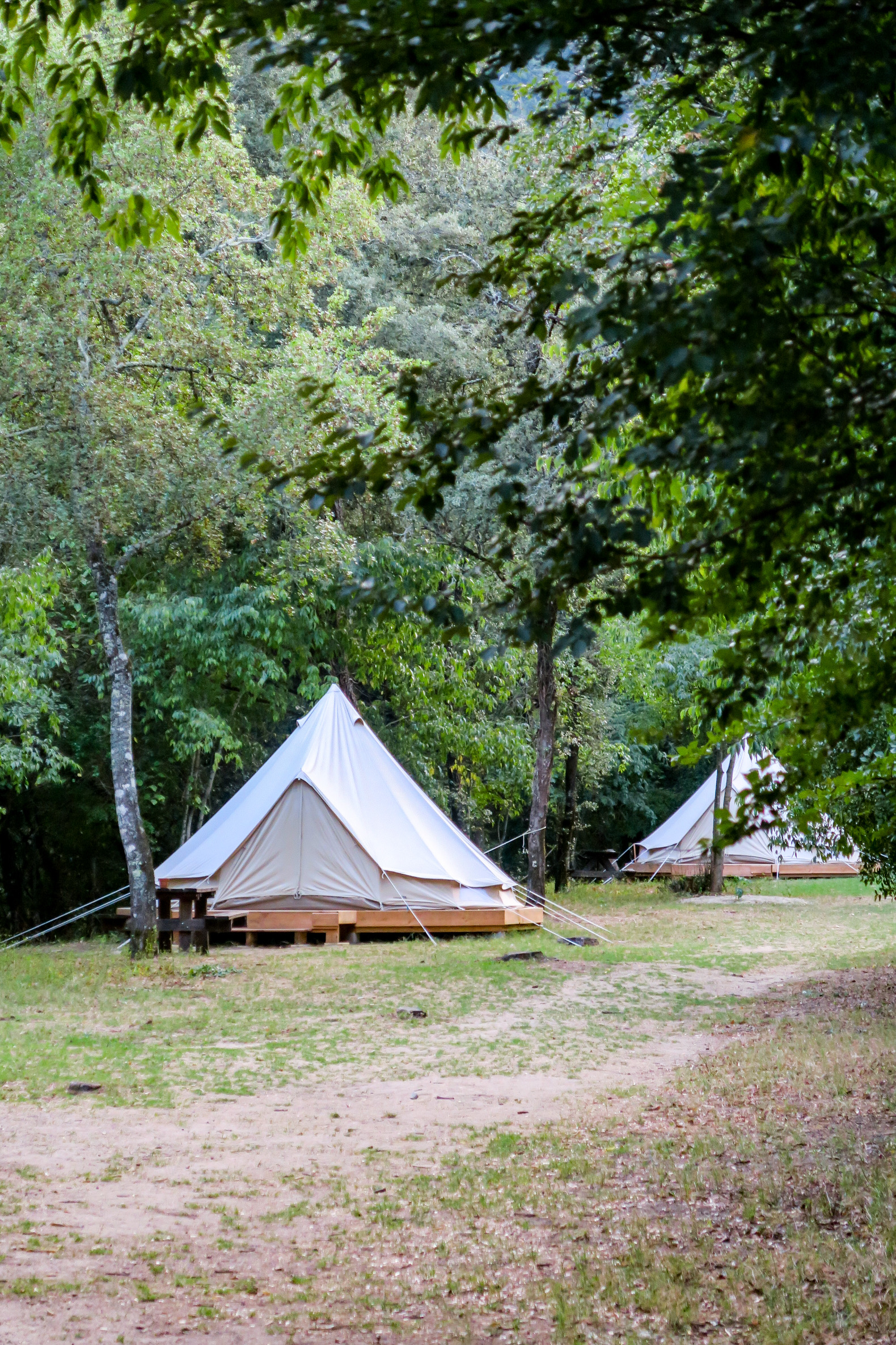 tente cosy du bivouac de gaud