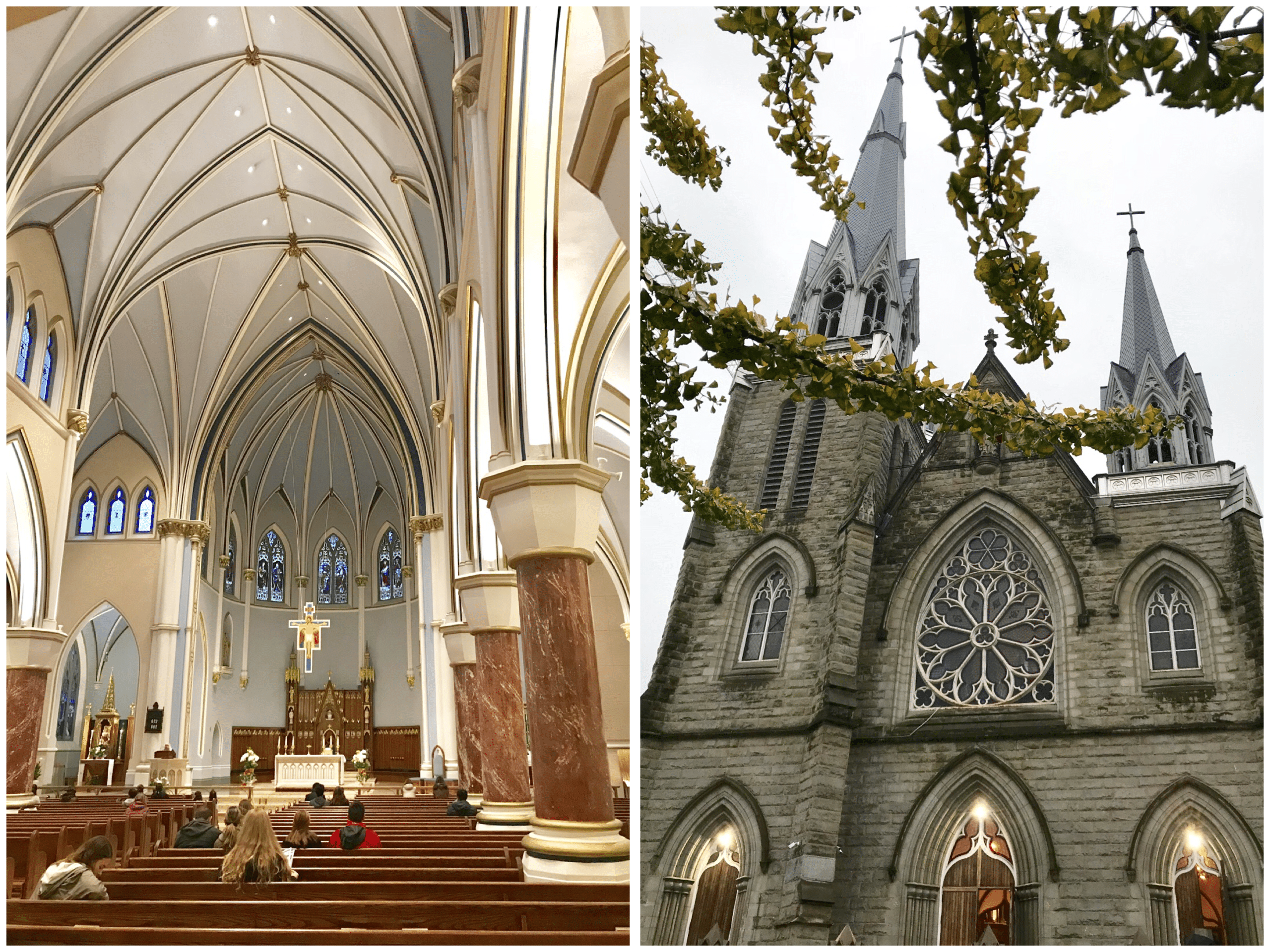  la Cathédrale du Saint-Rosaire ( Holy Rosary Cathedral )