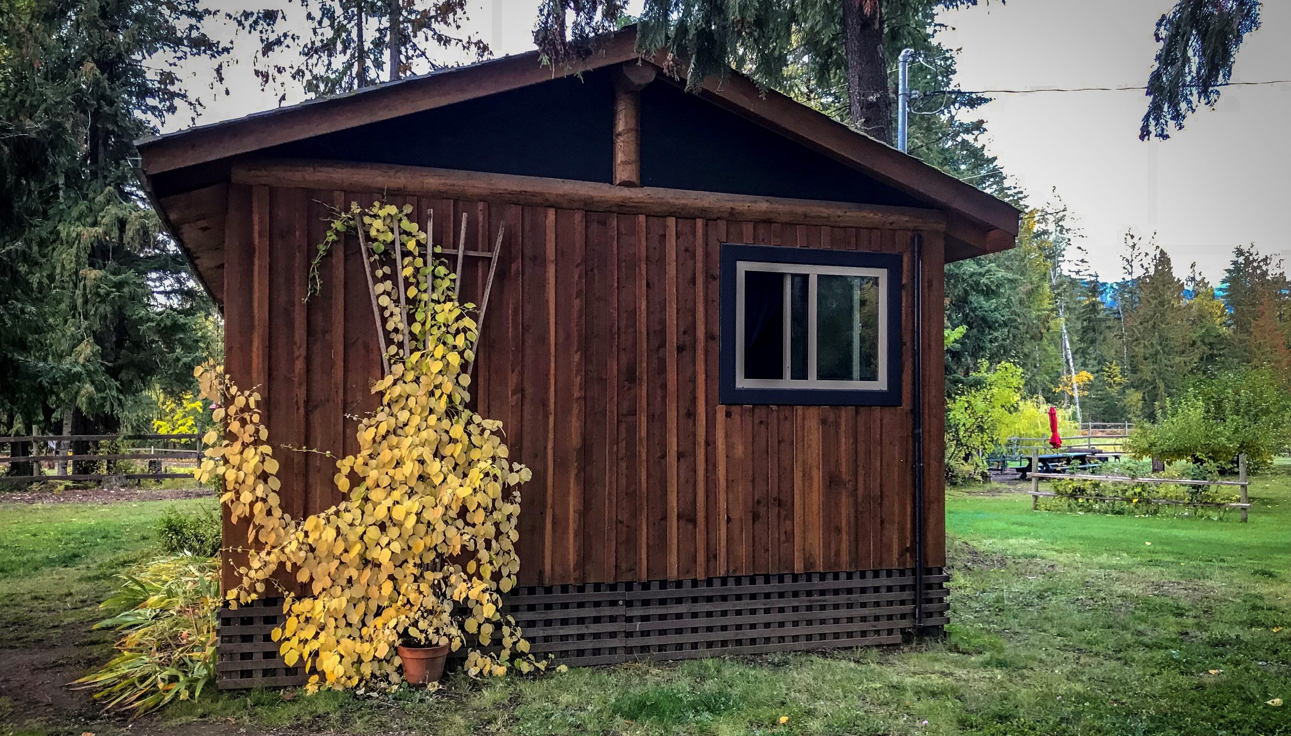cabane canadienne