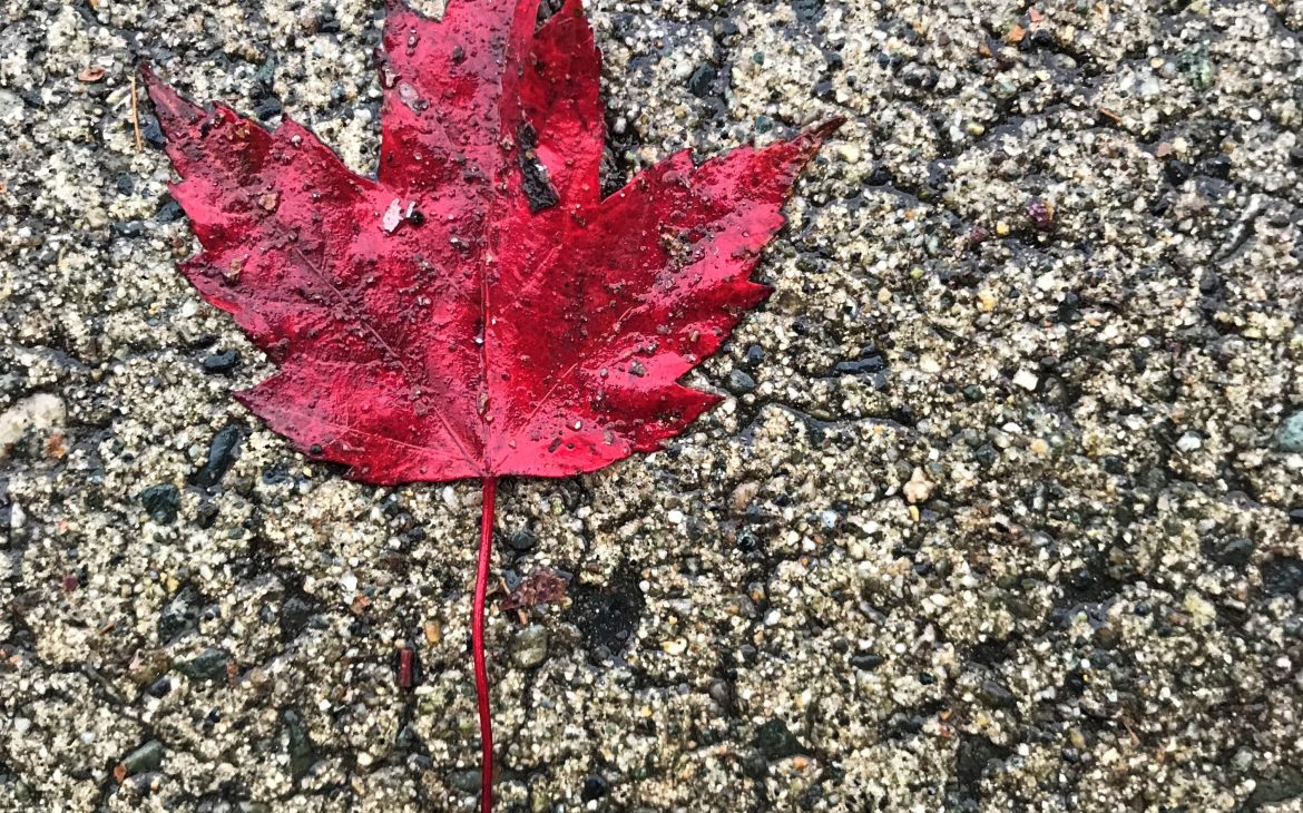 un automne à vancouver