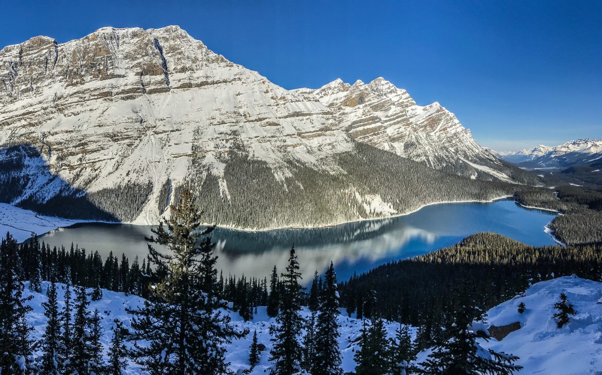 le magnifique lac peyto sous la neige