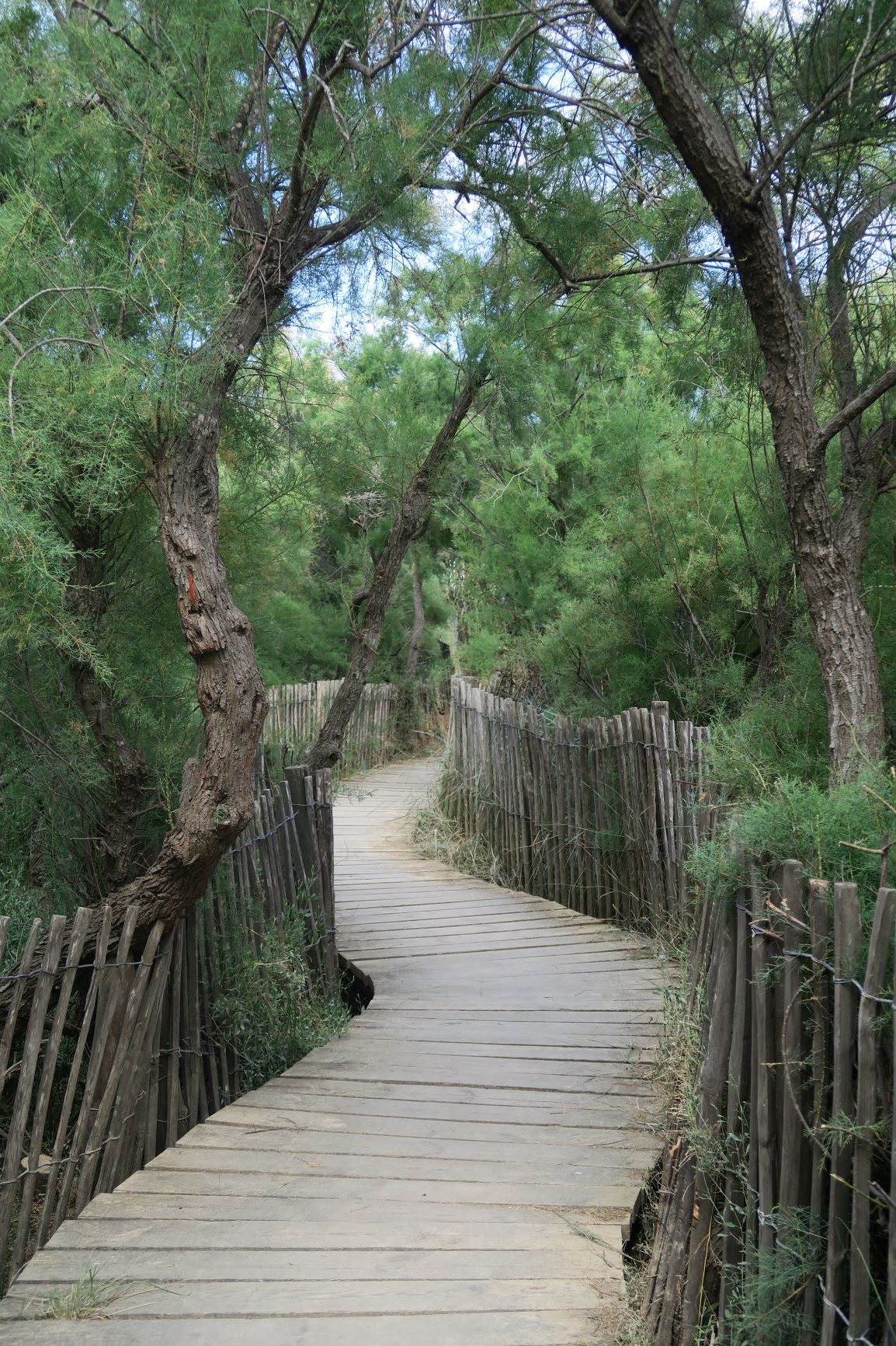 sentier canet saint nazaire
