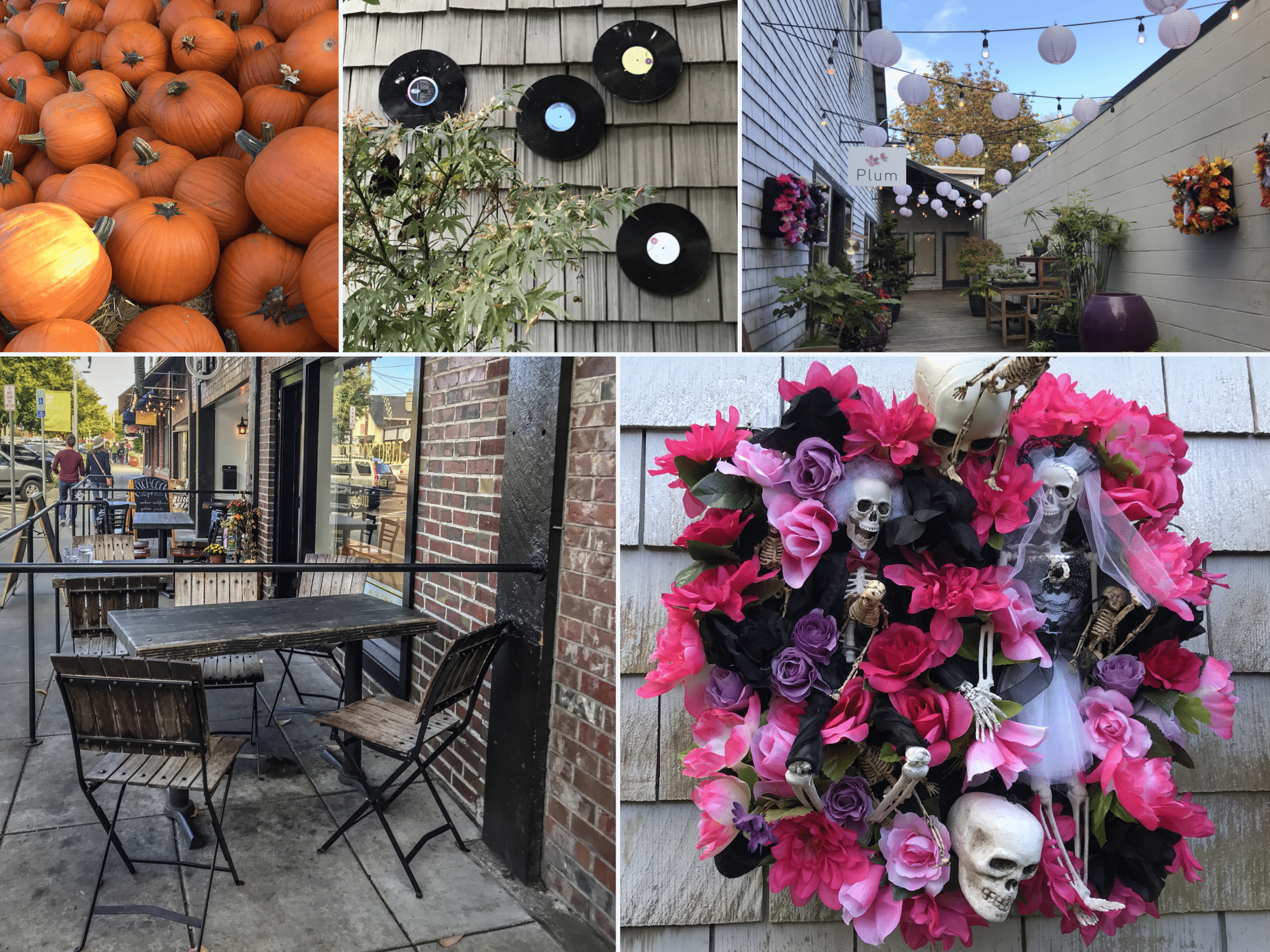 photos de bainbridge island