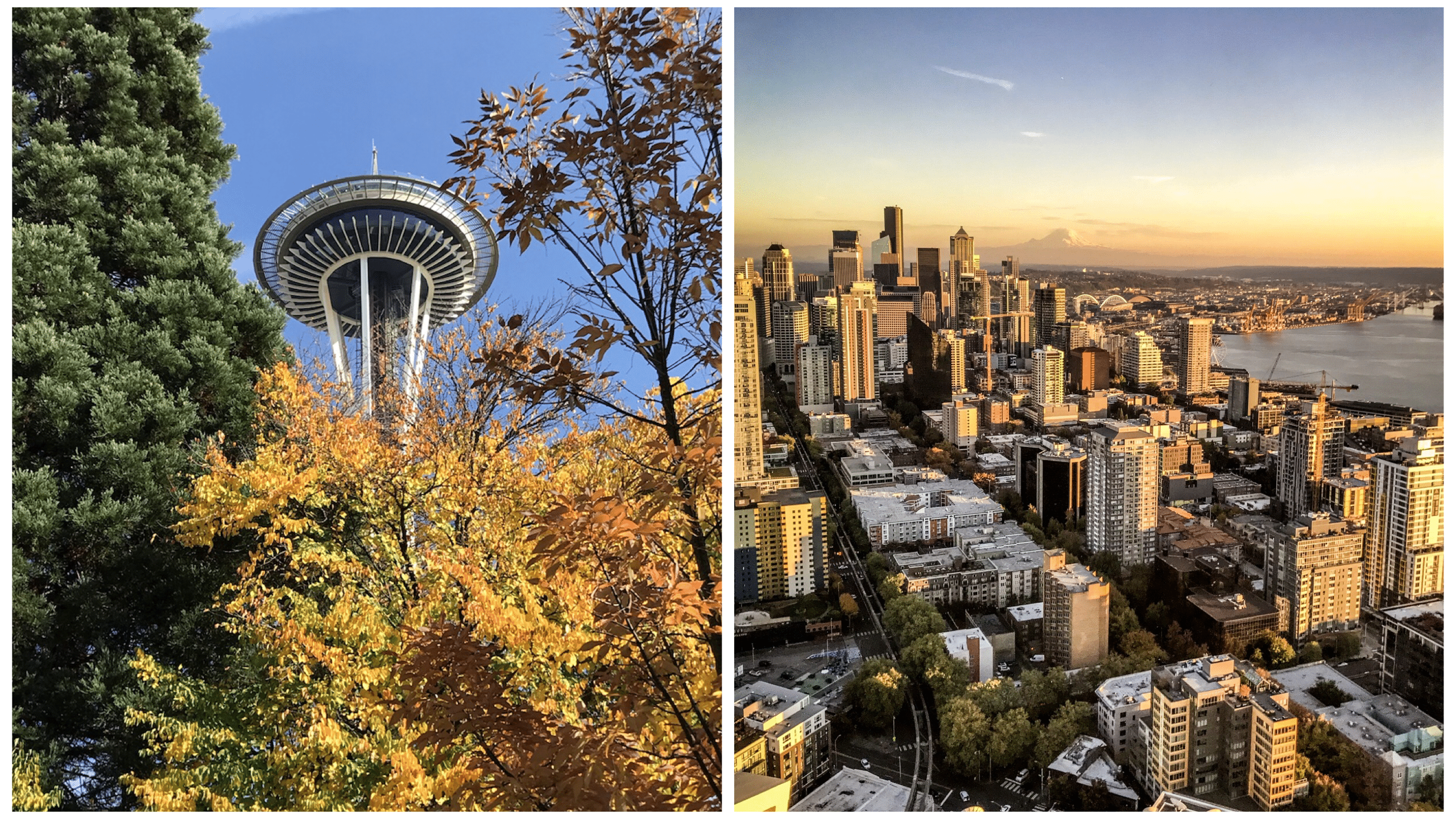 space needle seattle