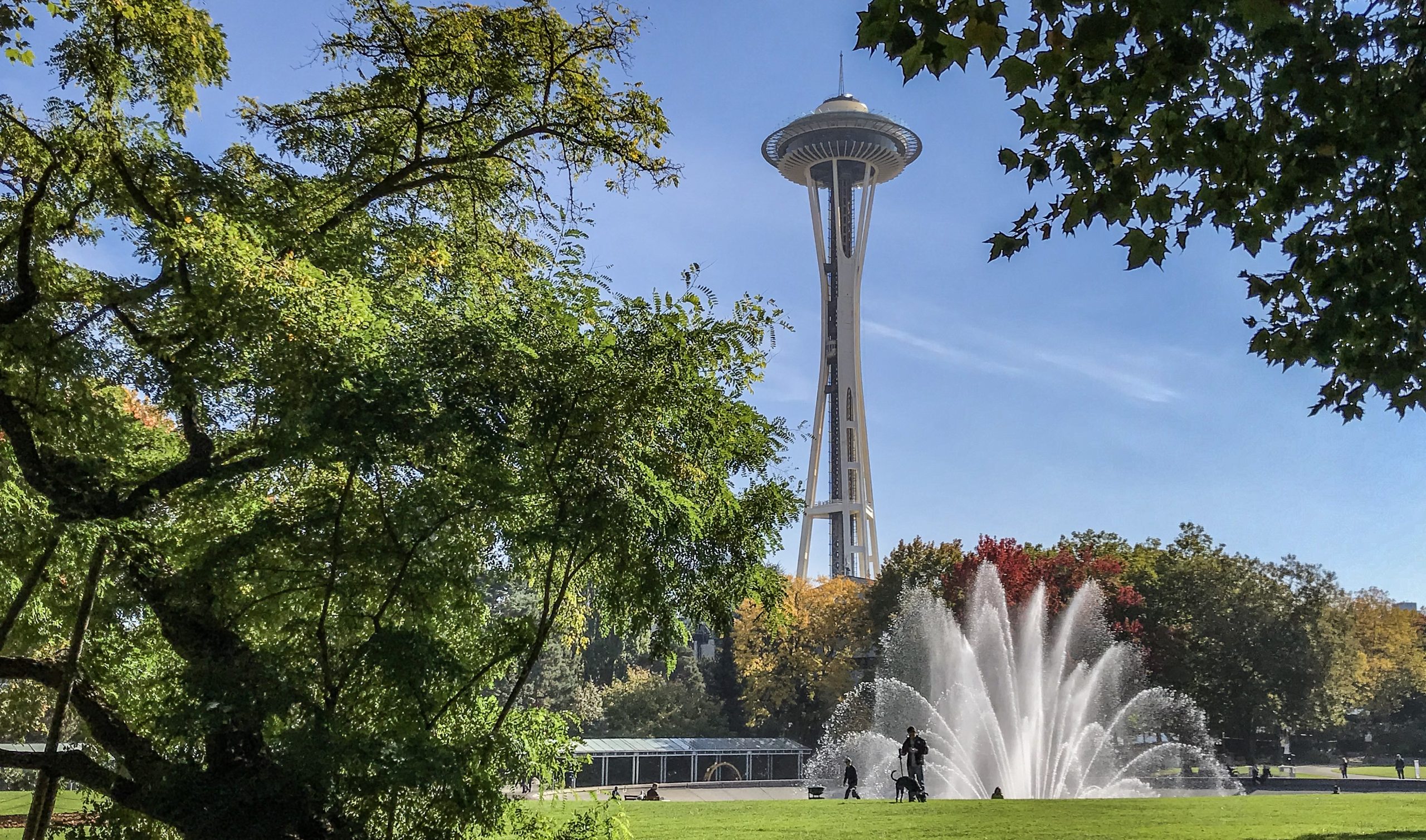 la space needle en automne