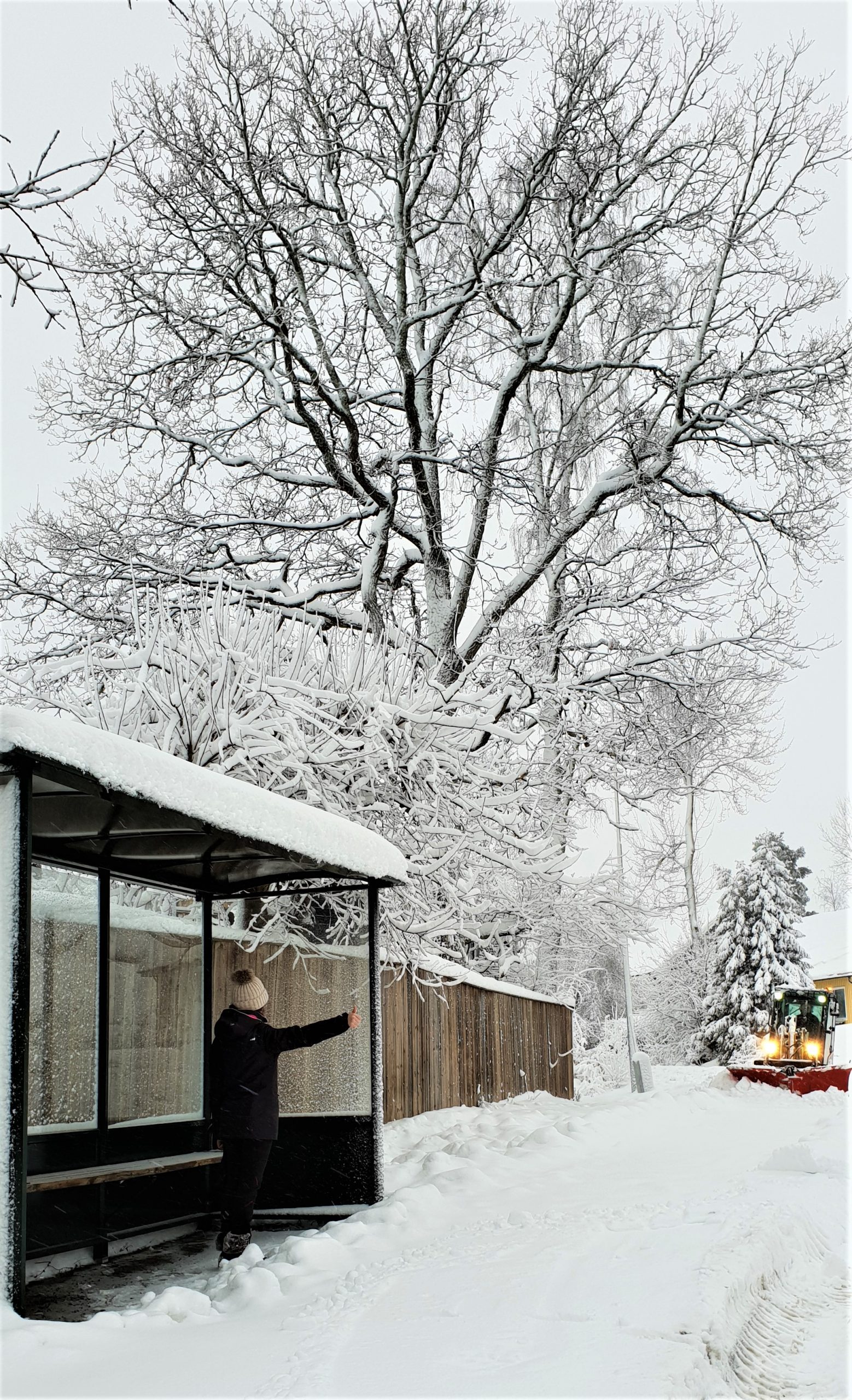 visiter stockholm en hiver