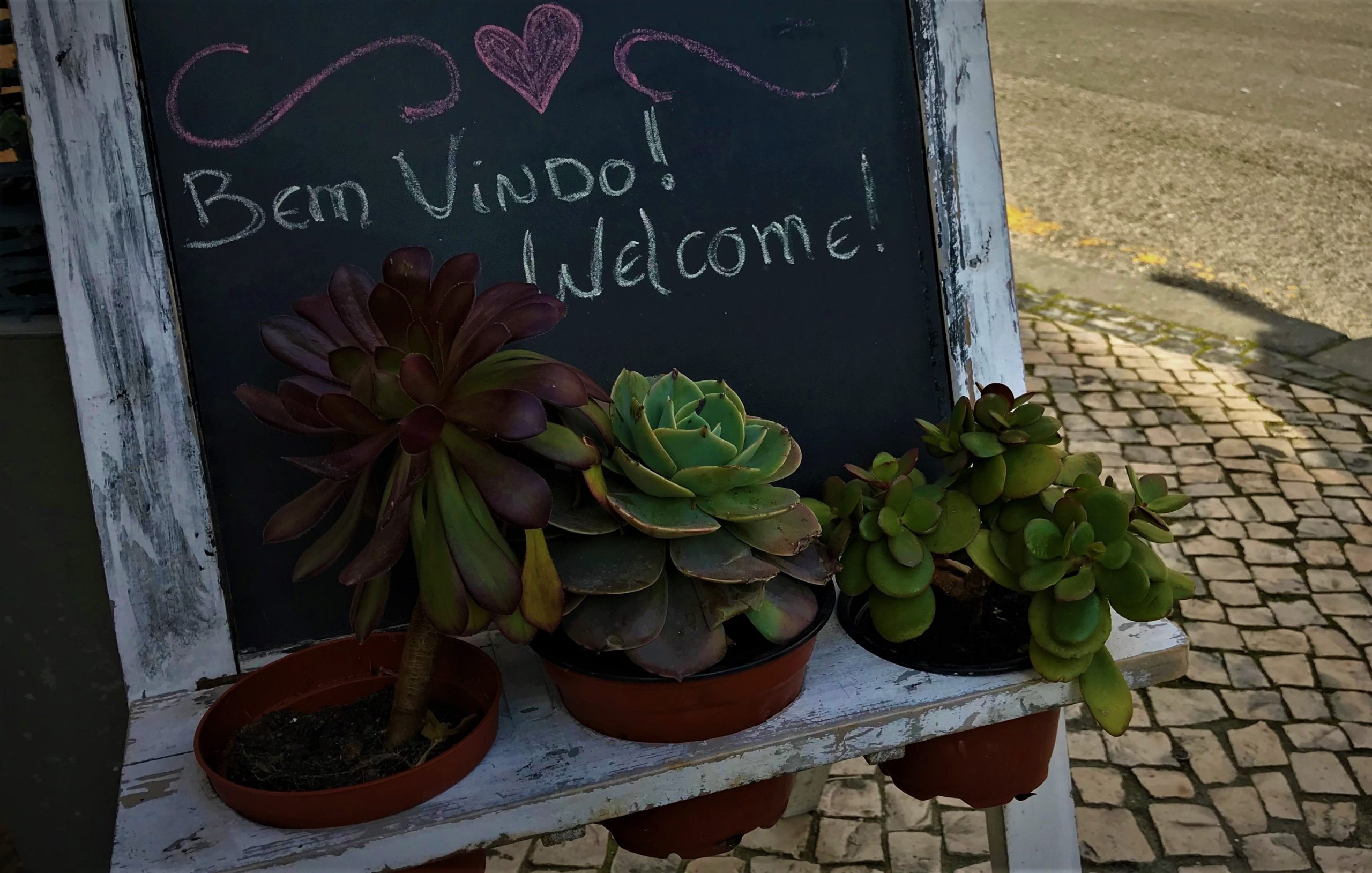 aveiro portugal blog