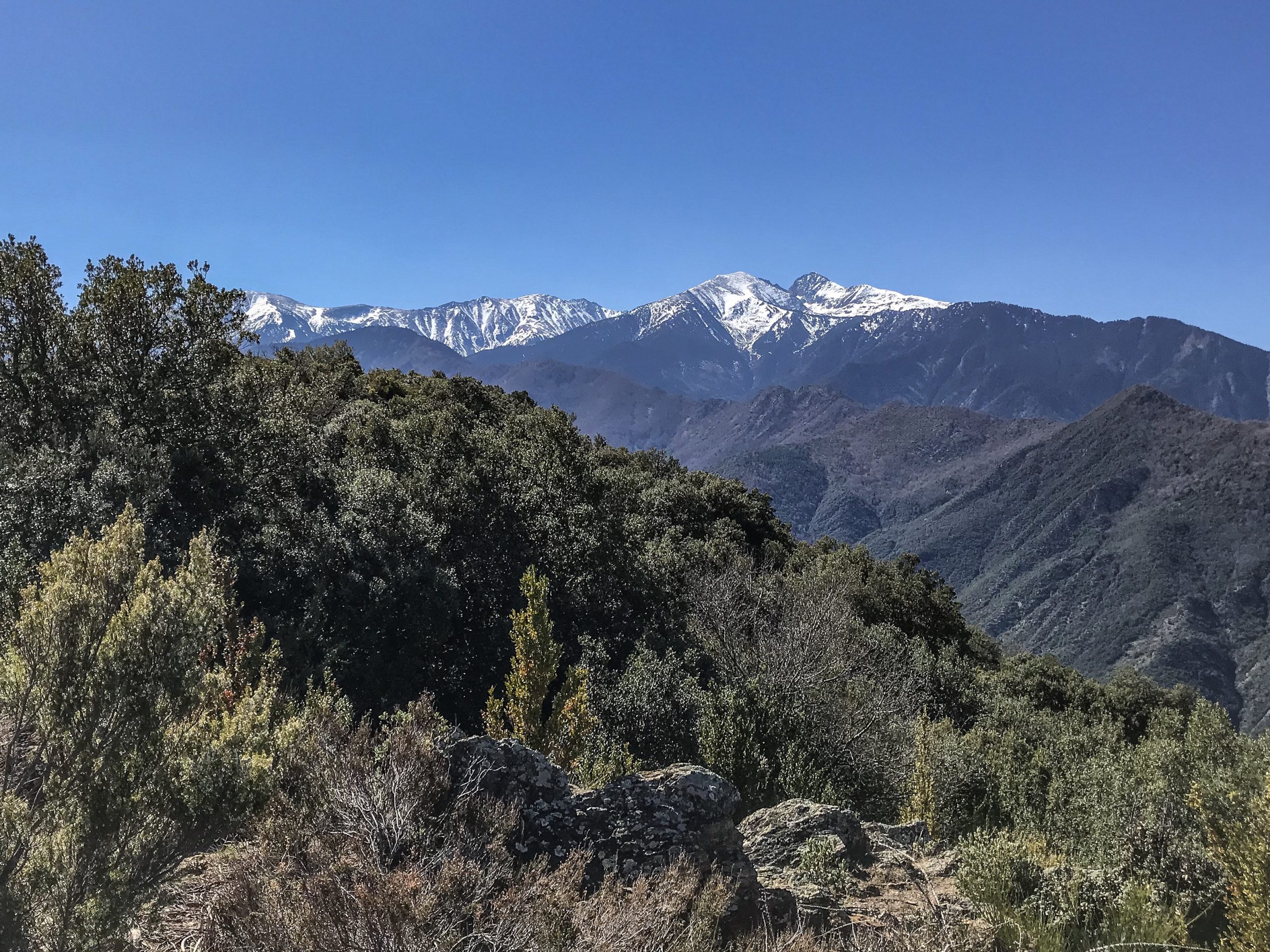 le canigou depuis le pic de la feixes