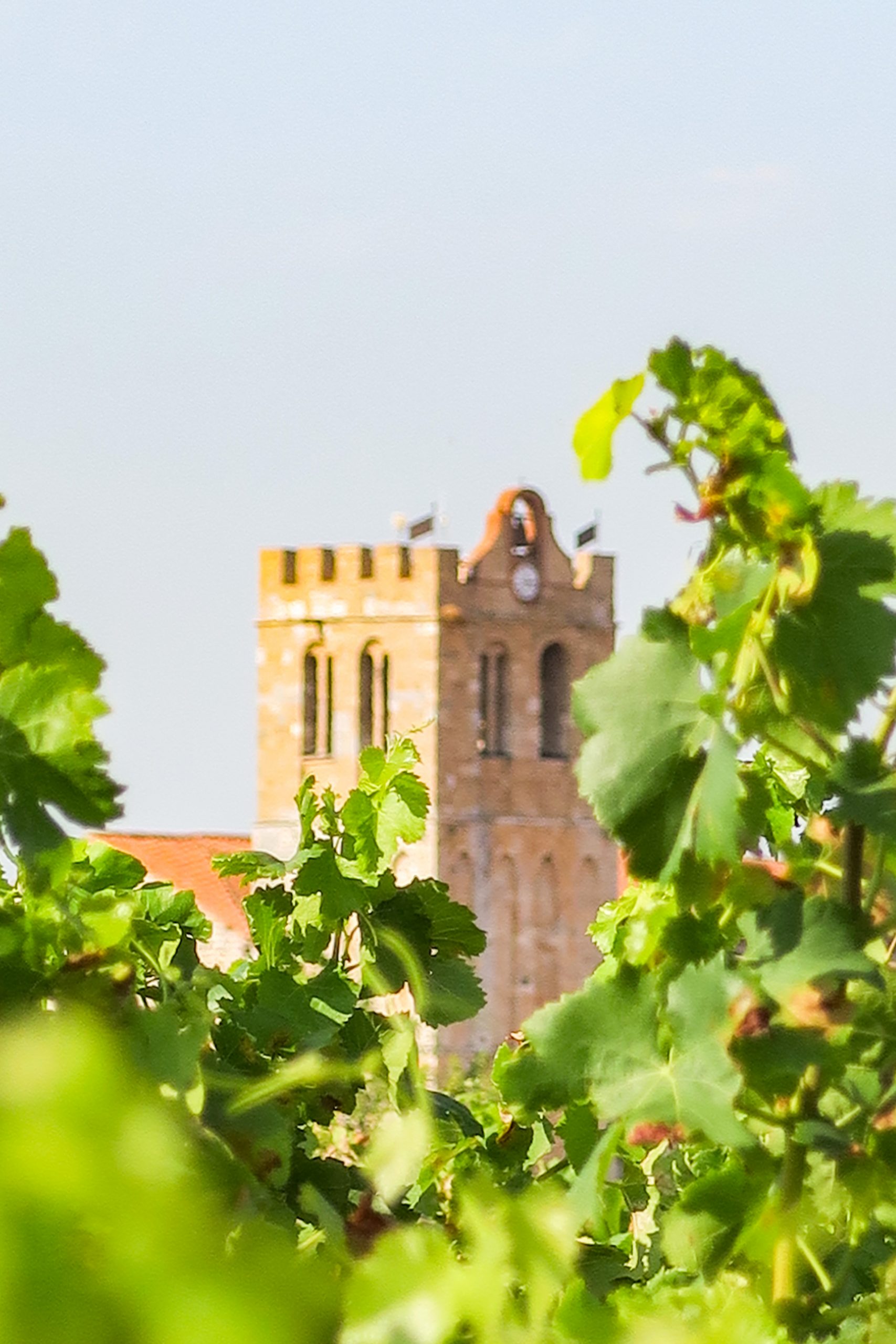 village de baixas pyrénées orientales