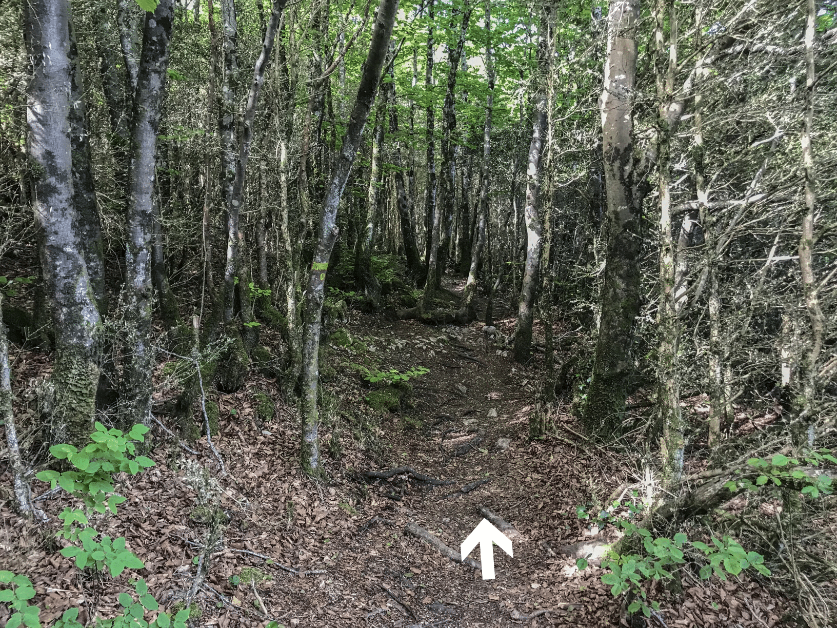bugarach randonnee