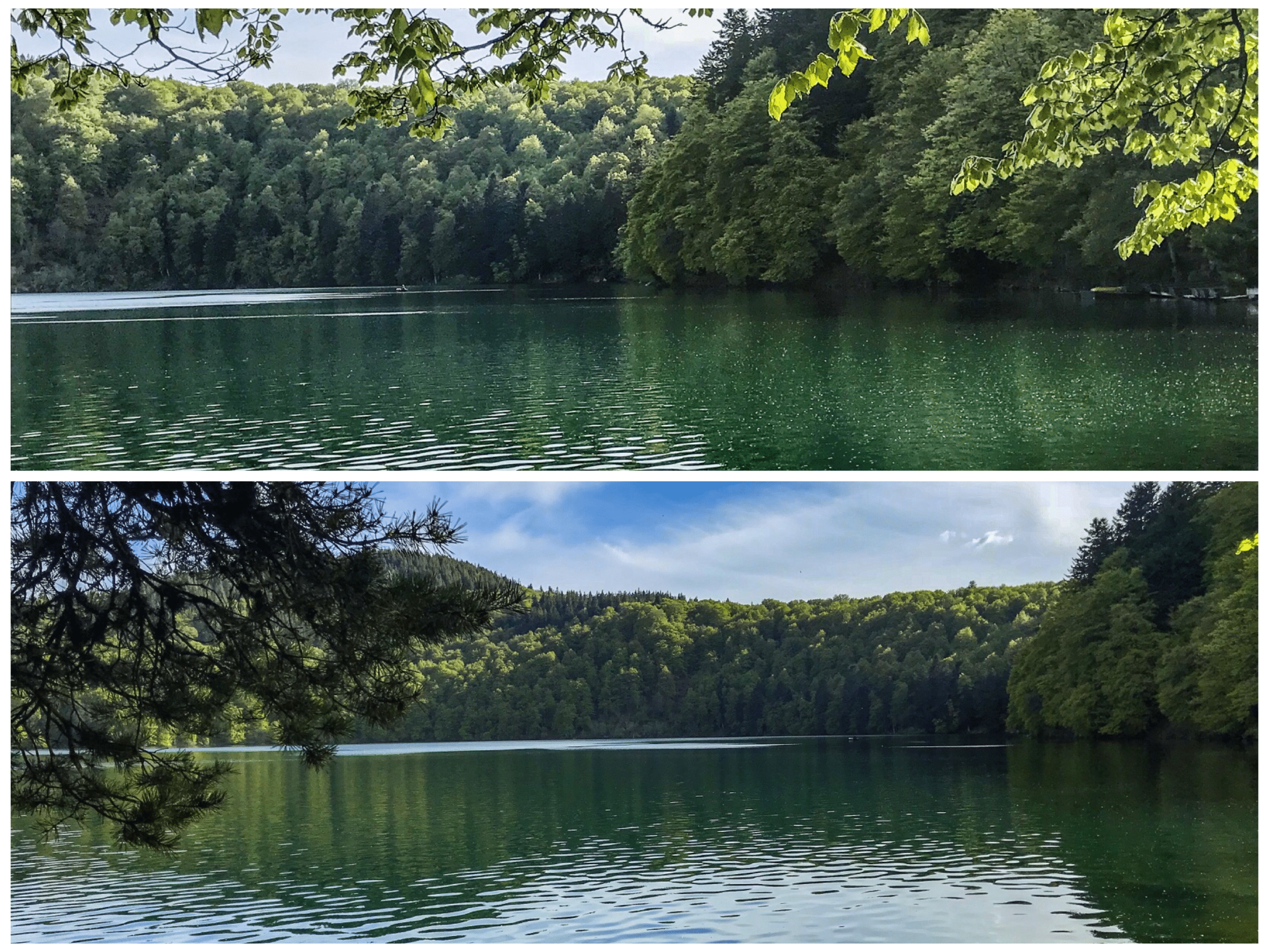 lac pavin auvergne puy de dome