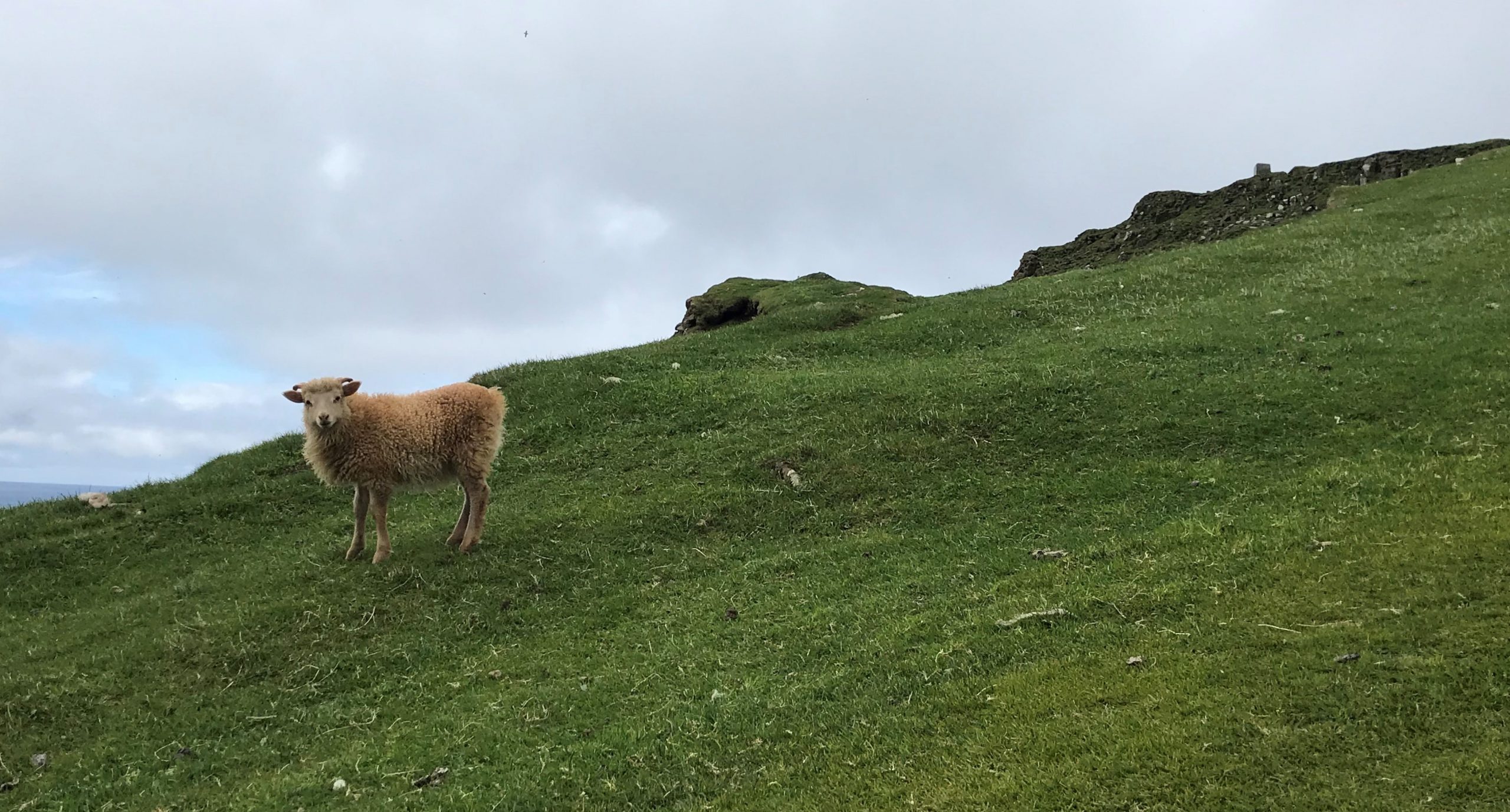 l'île aux moutons les féroé