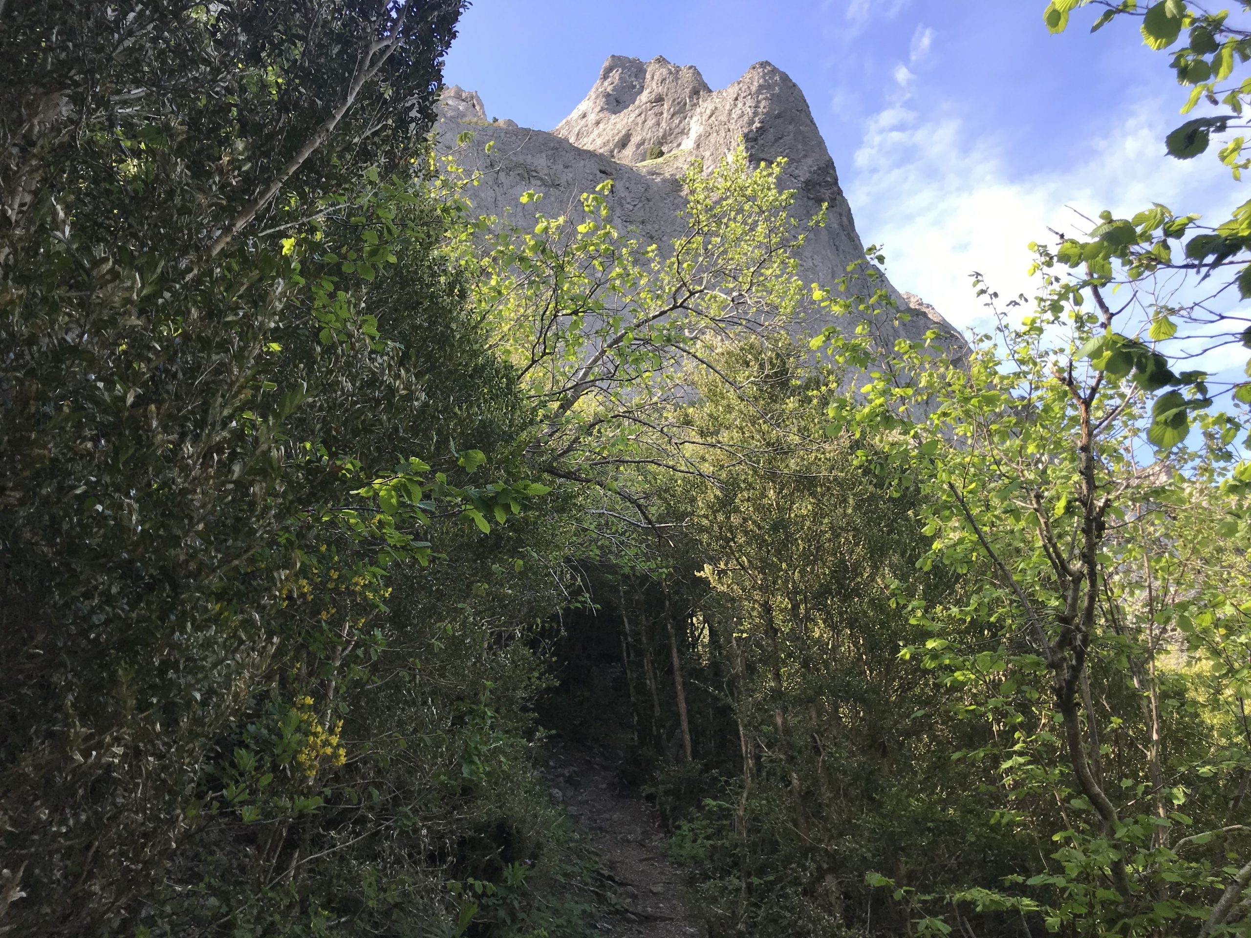 sentier pech de bugarach depuis le col de linas