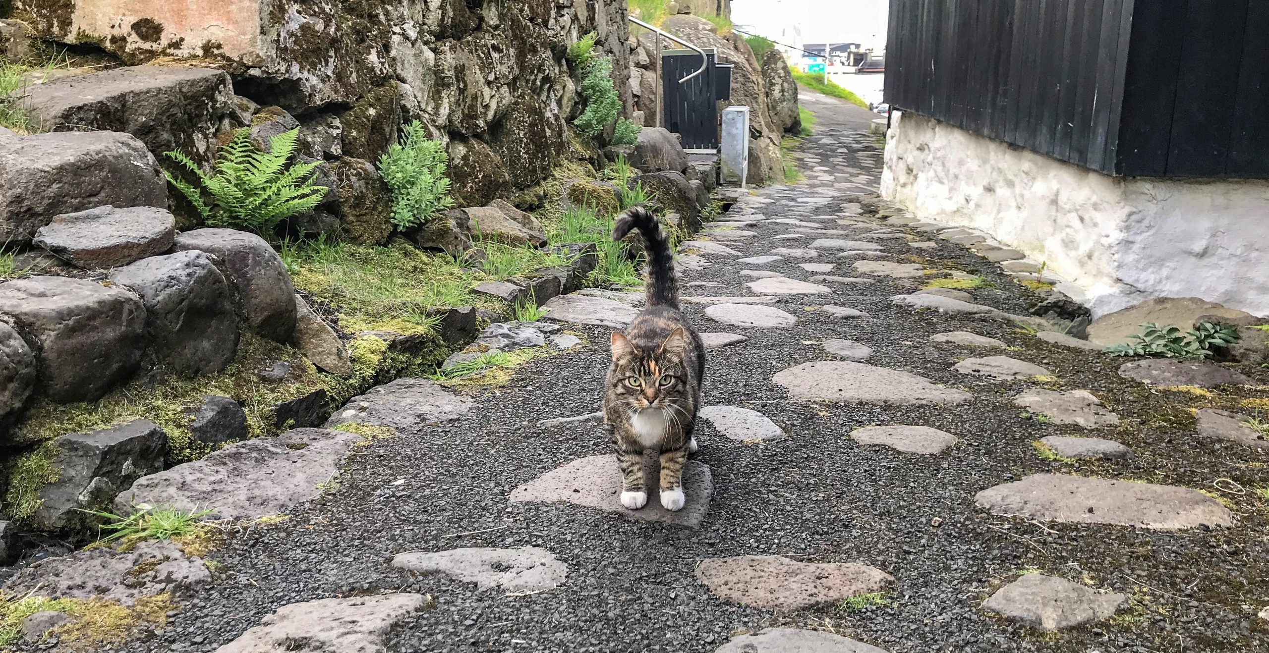 torshavn iles féroé