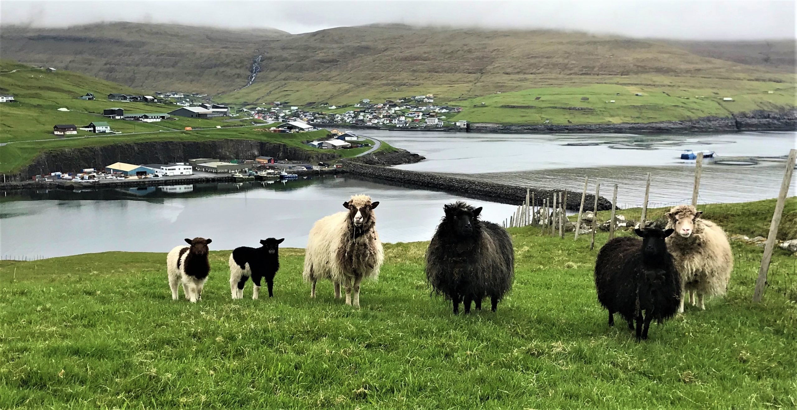 vagar iles féroé danemark
